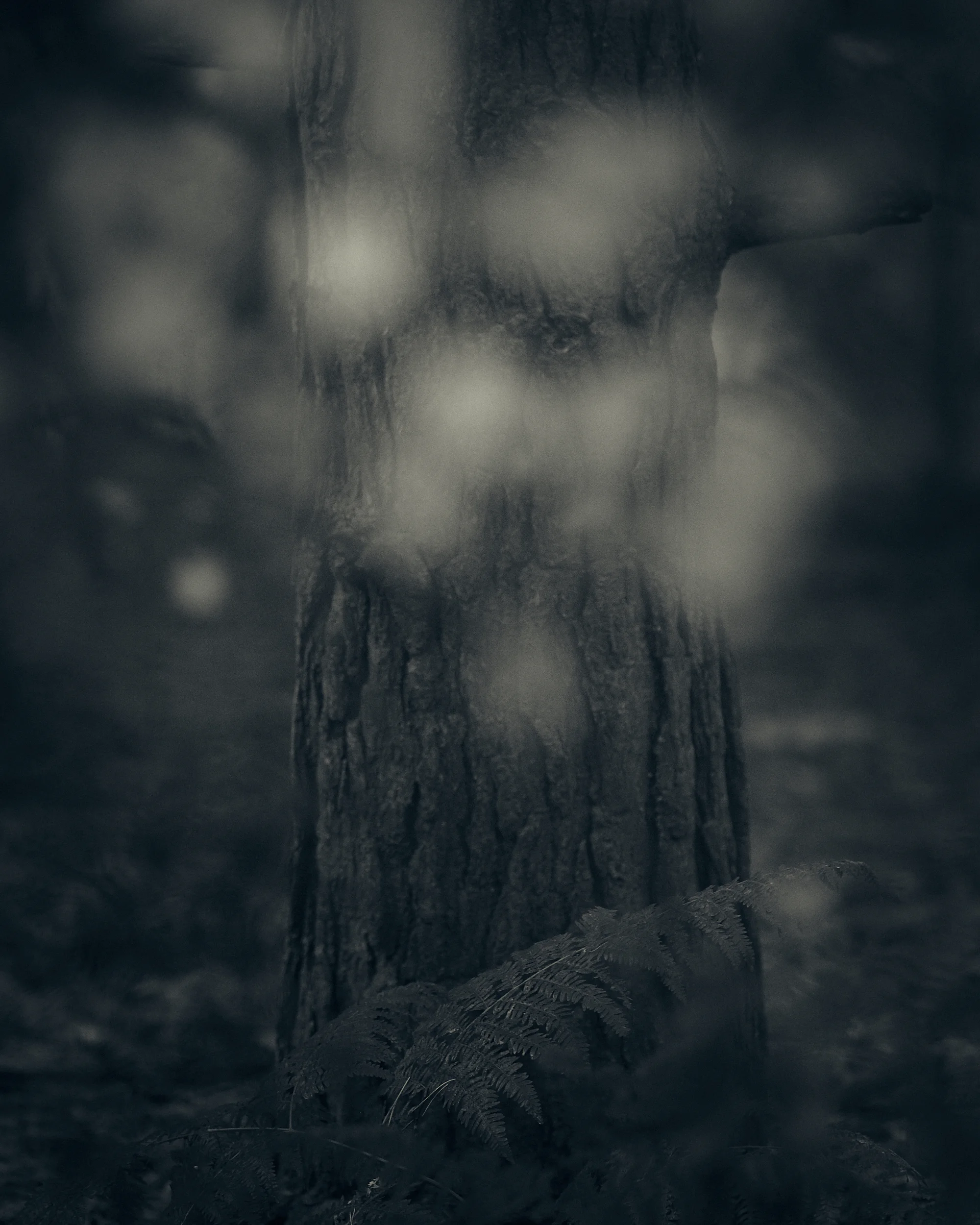 Heath and Reach - Darren Rose Photography 3.jpg
