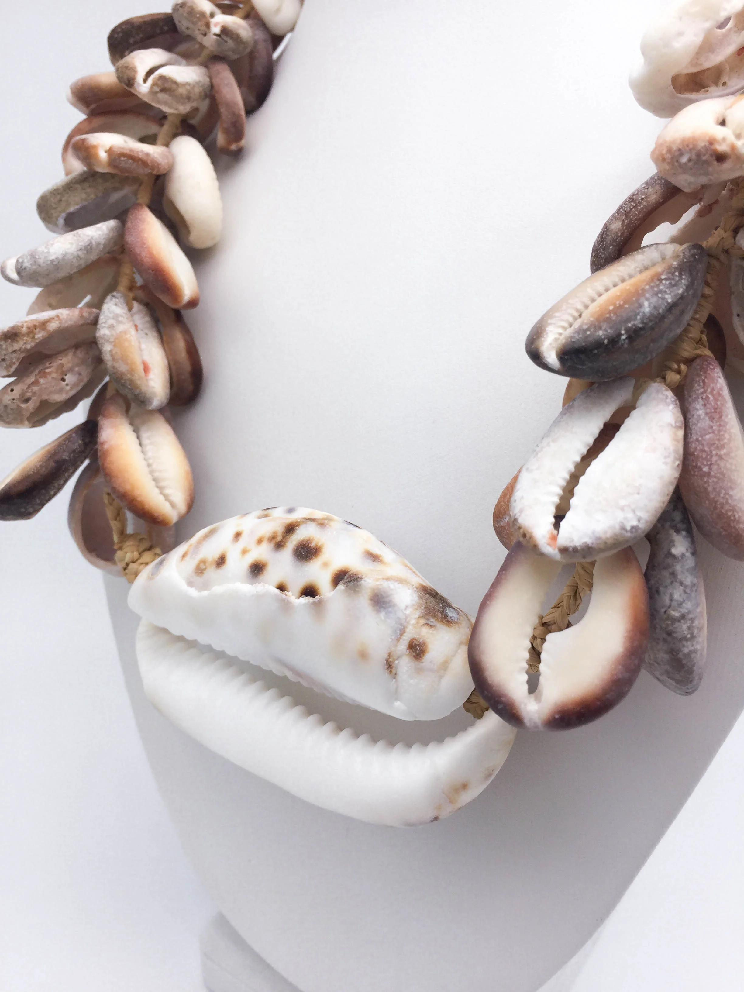 Rava Ray Cowries 2.jpg