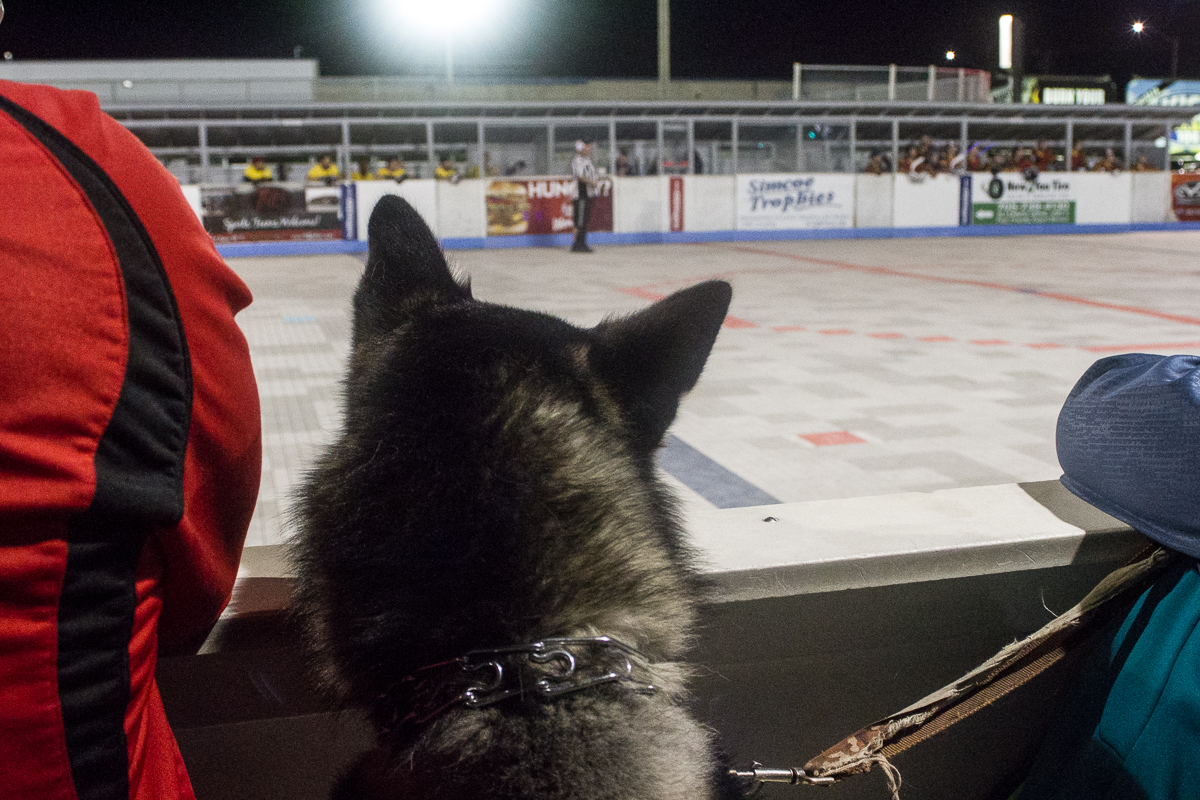 wobhc_part_2 (320 of 334).jpg