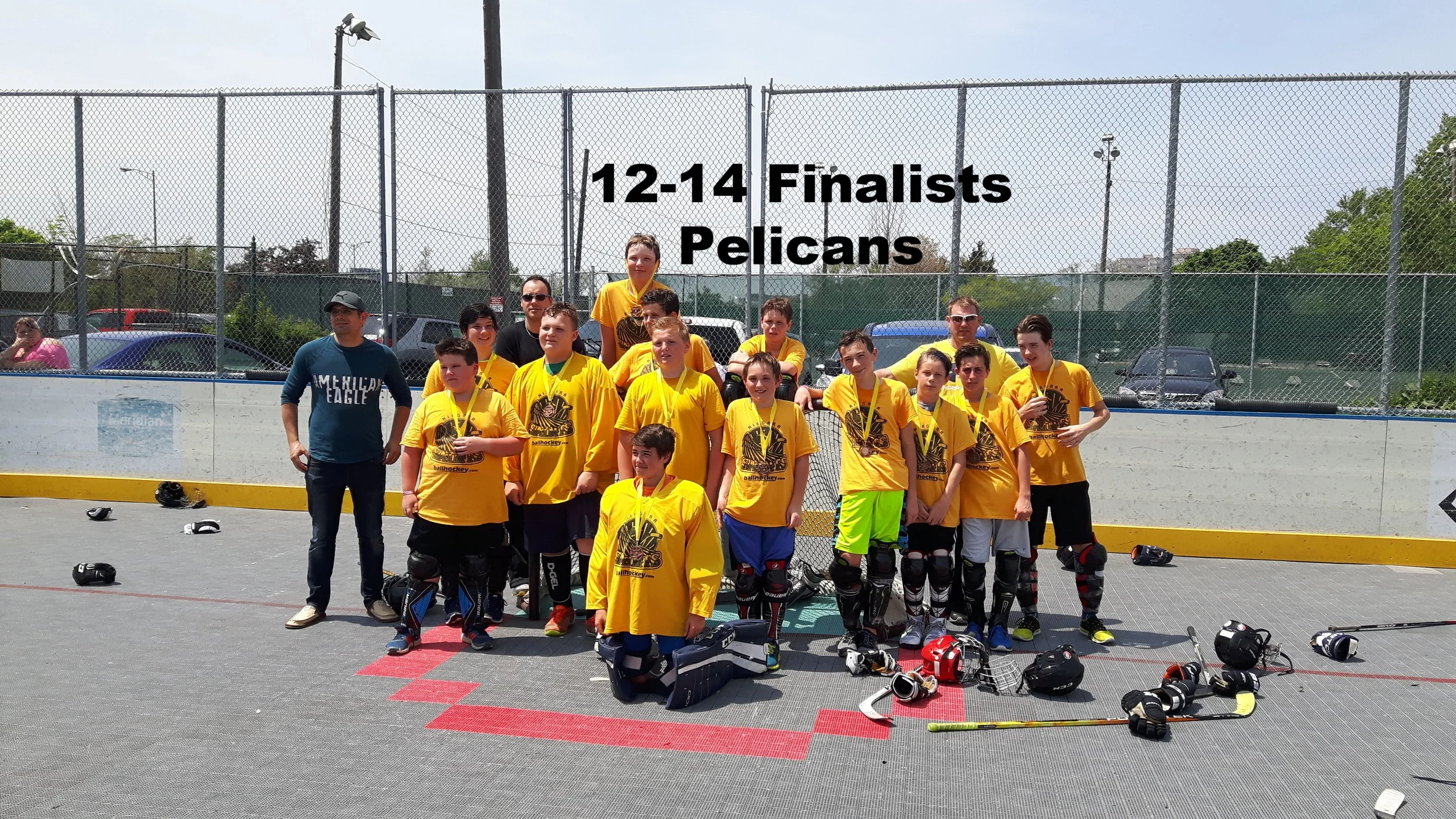 1214Pelicans.jpg