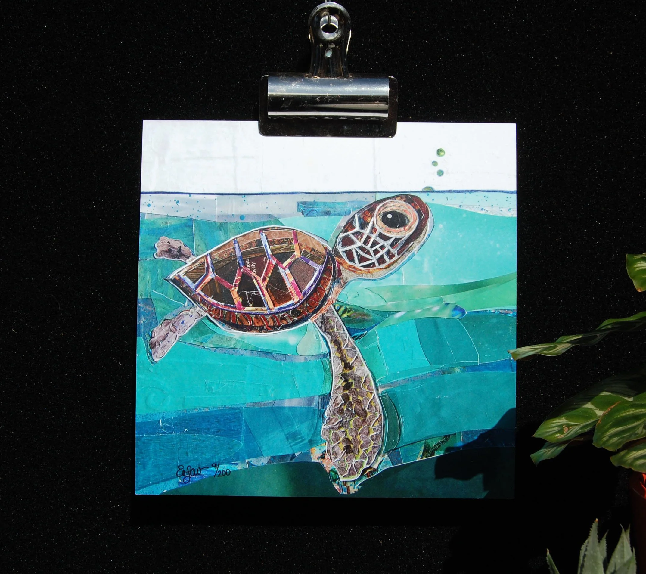 8x8 Baby Turtle Print