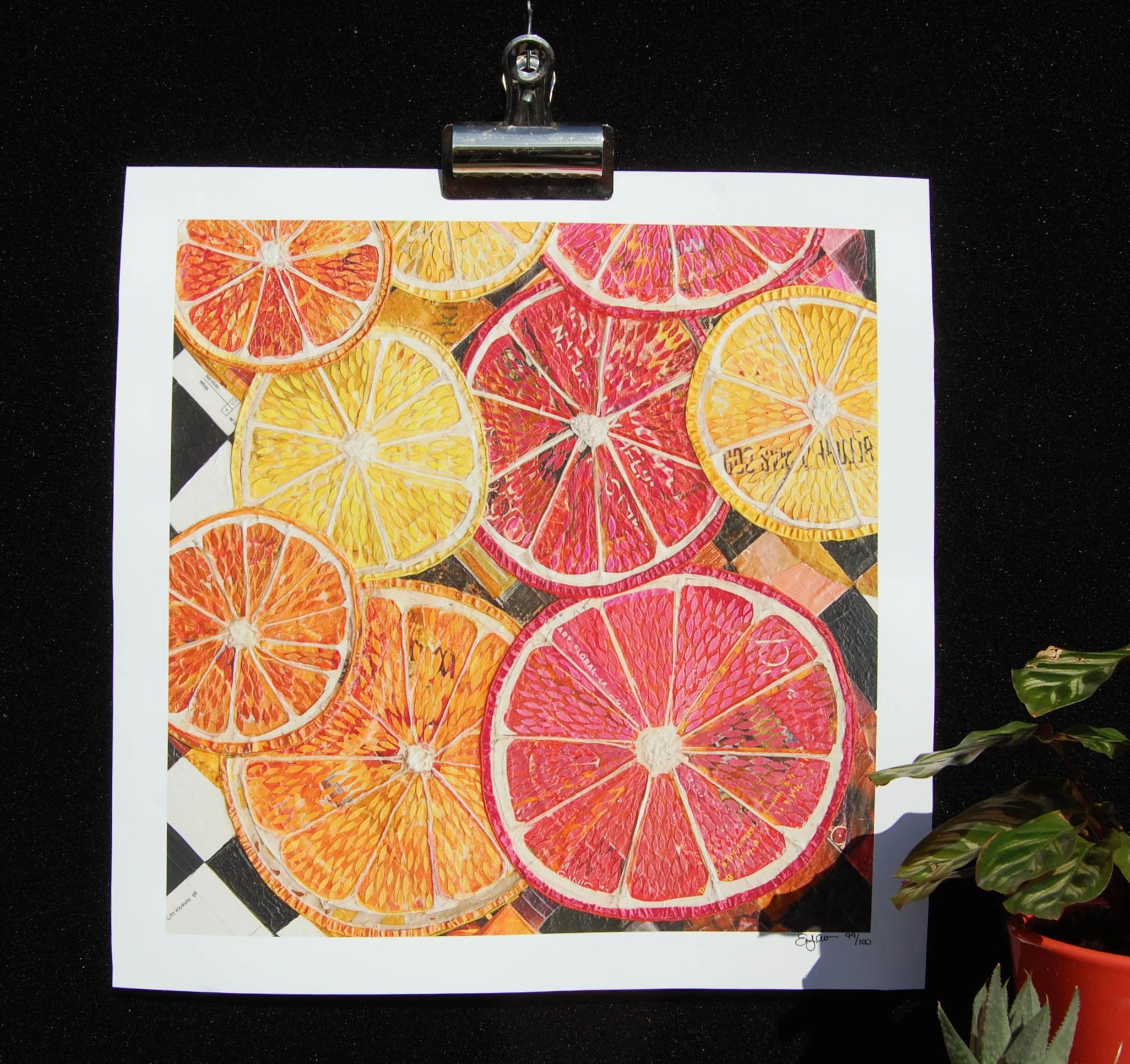 Citrus Fruits 14x14 reproduction
