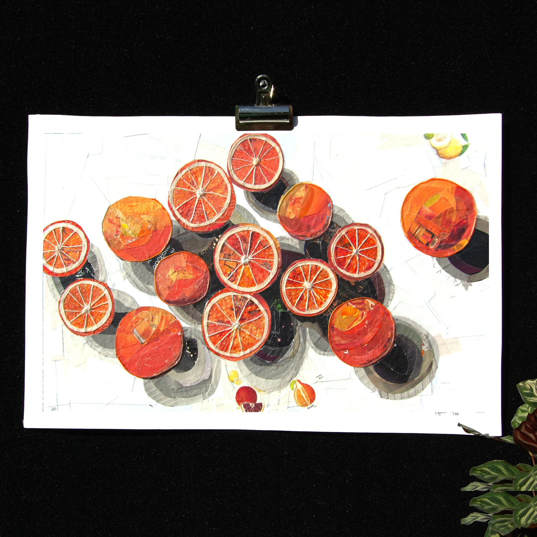 Oranges with Deep Shadows