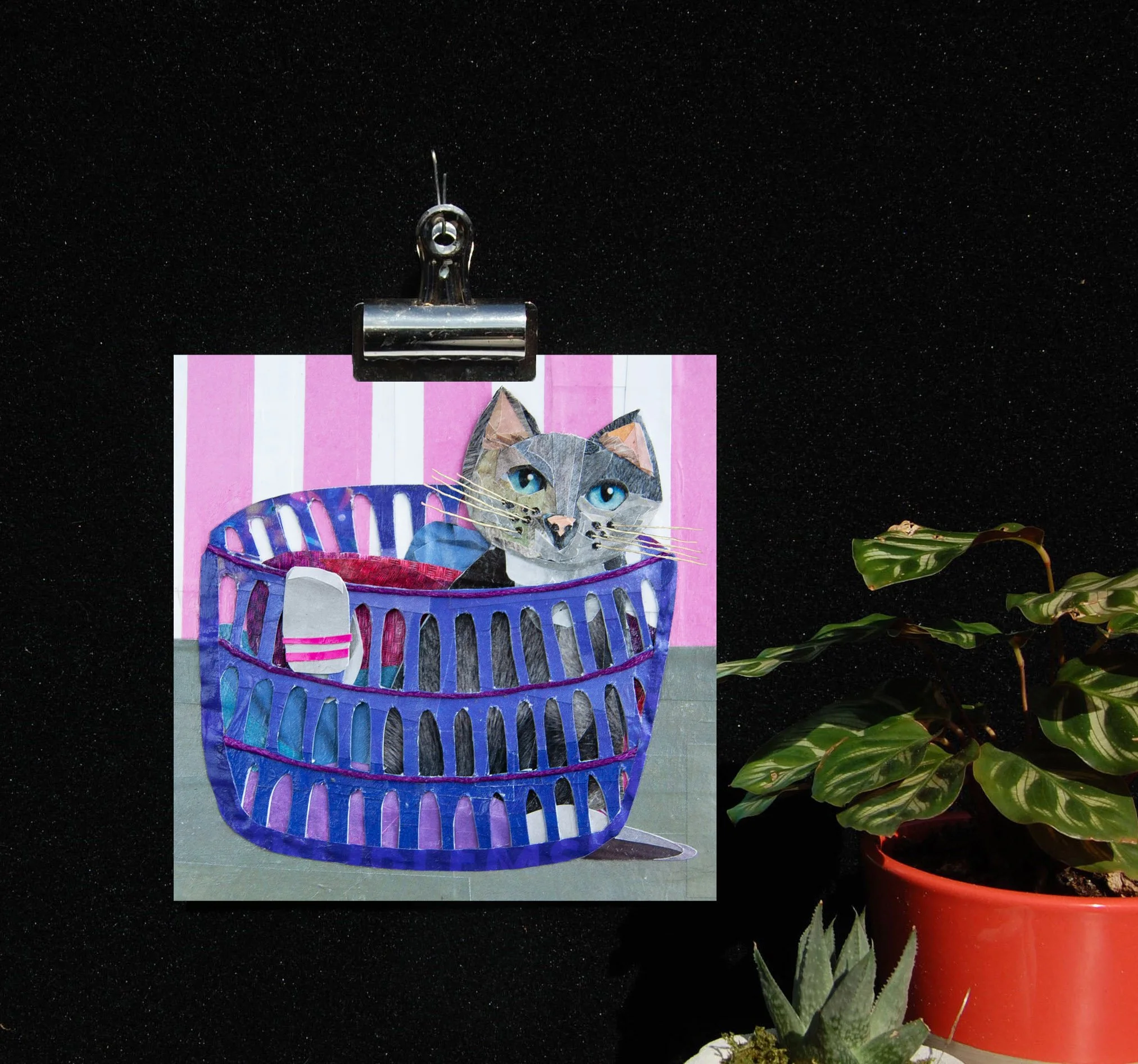 kitty in basket 11.jpg