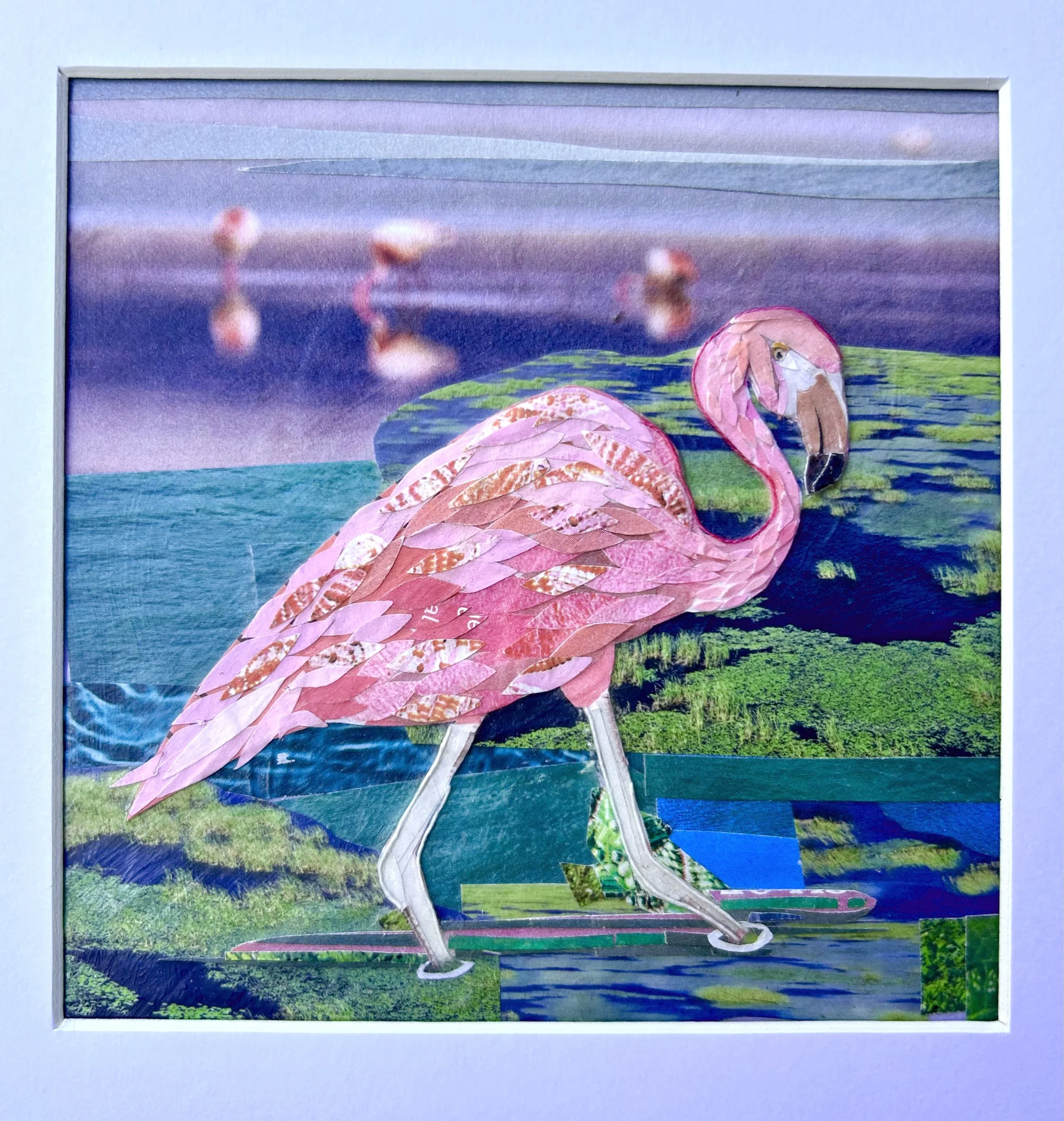 Flamingo 1.jpeg