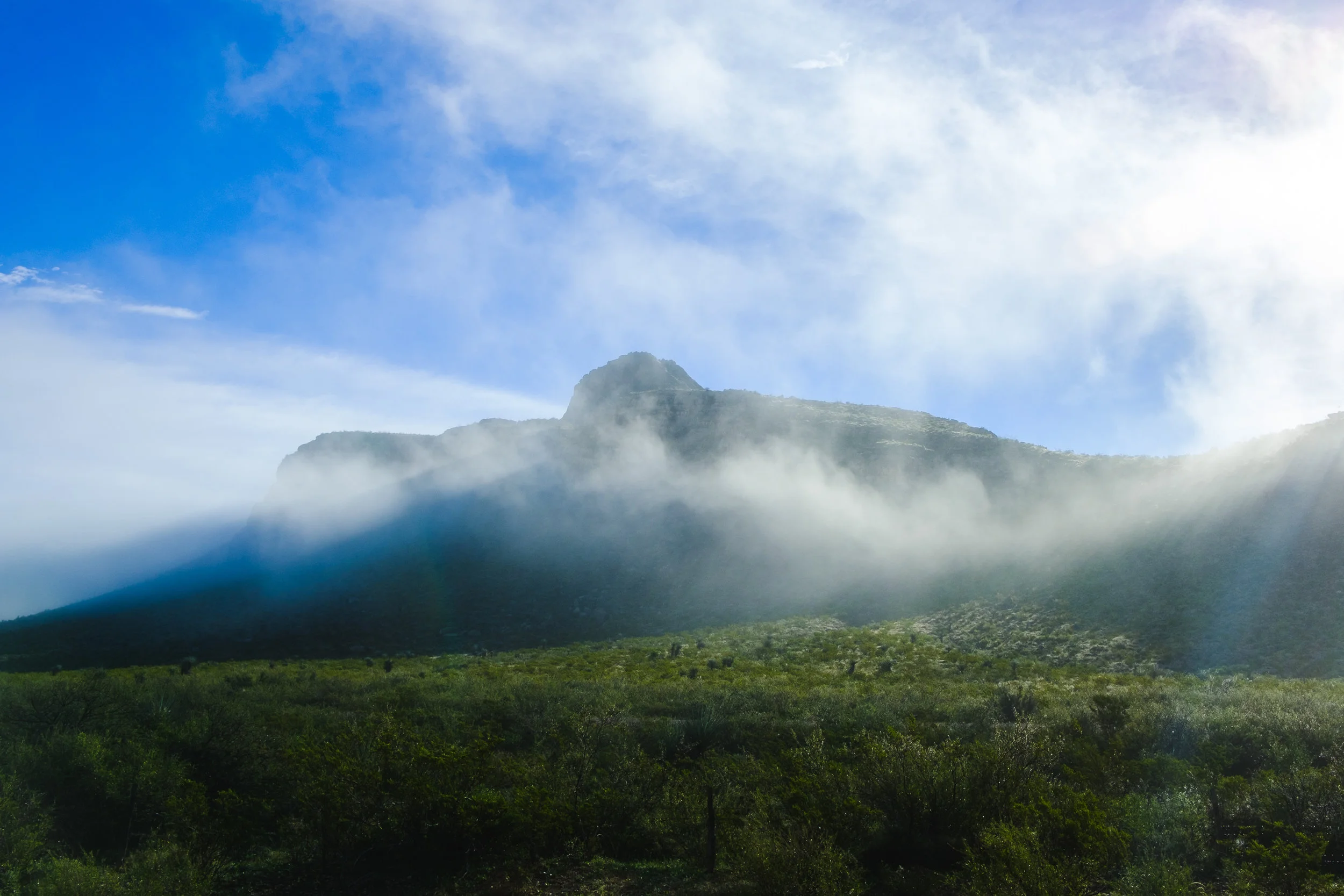 DSCF8896.jpg