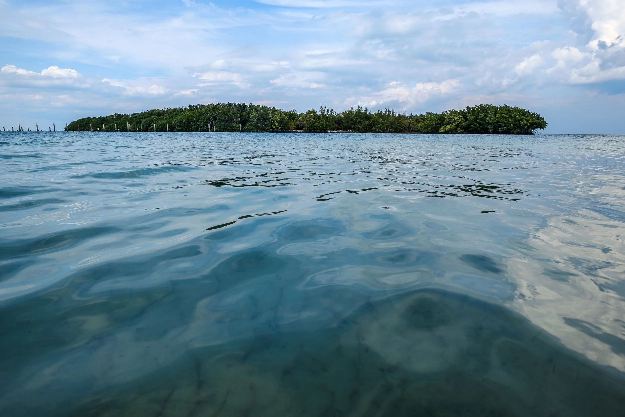 DSCF0513.jpg