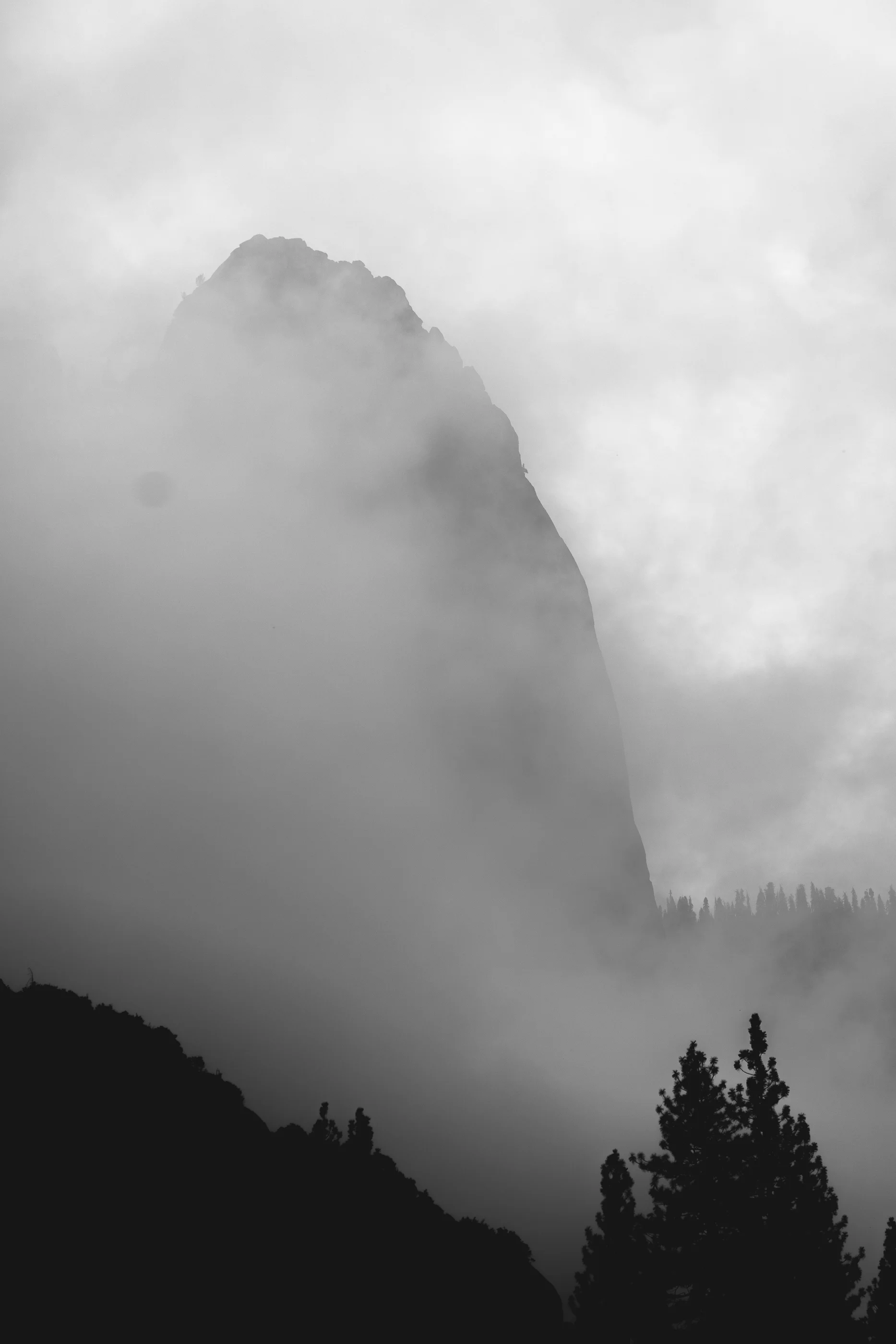 DSCF5366.jpg
