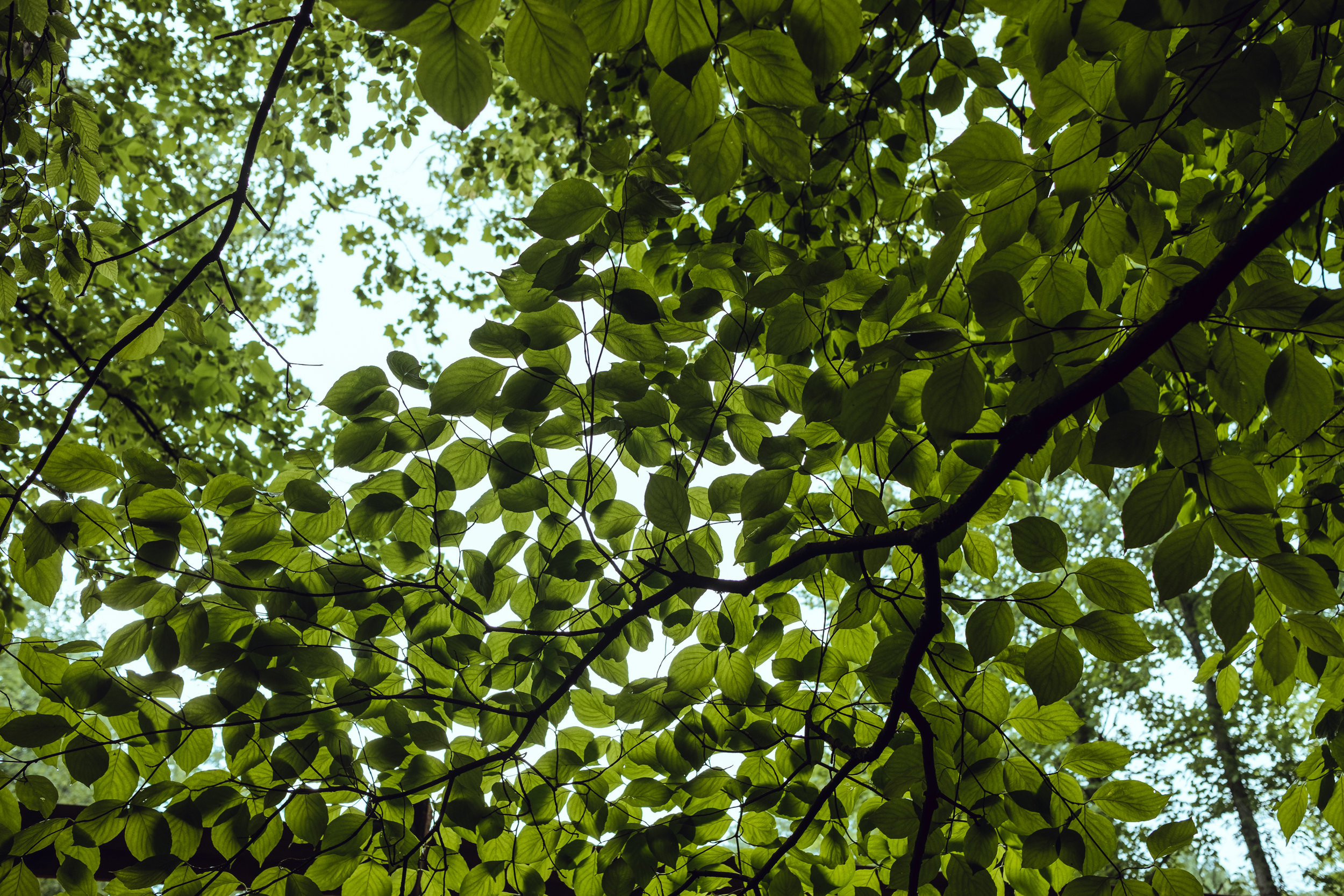DSCF8309.jpg