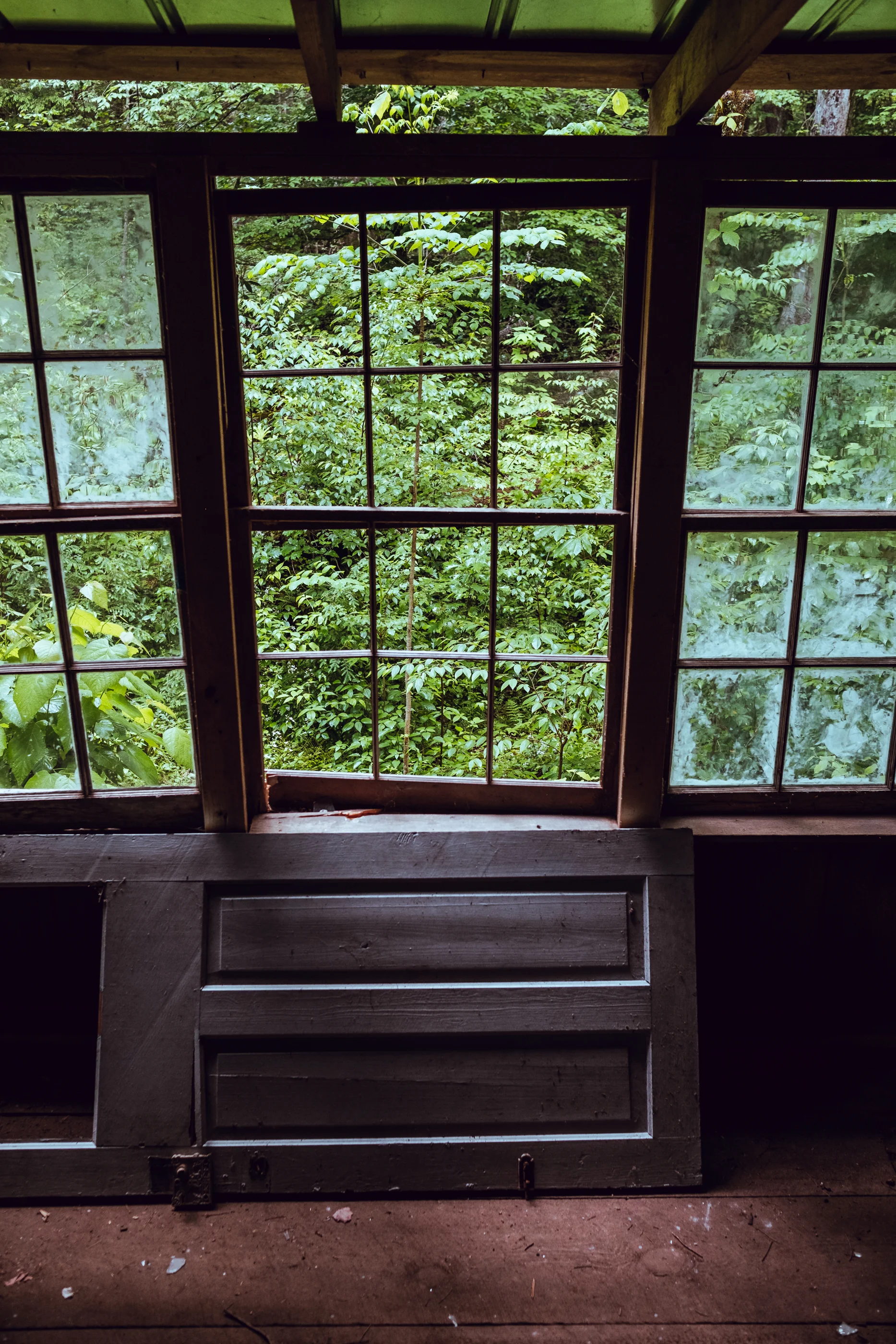 DSCF8382.jpg
