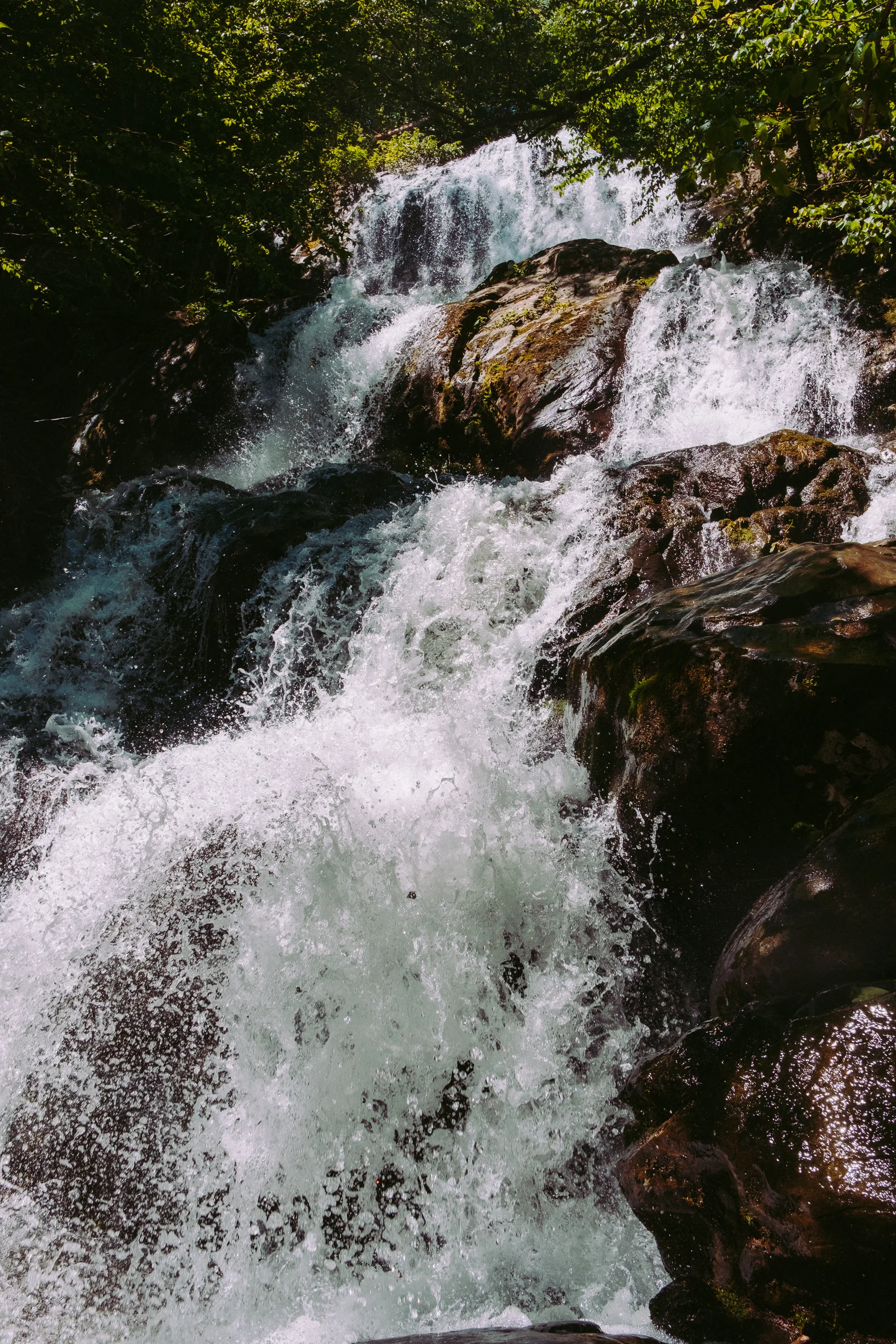 DSCF9664.jpg
