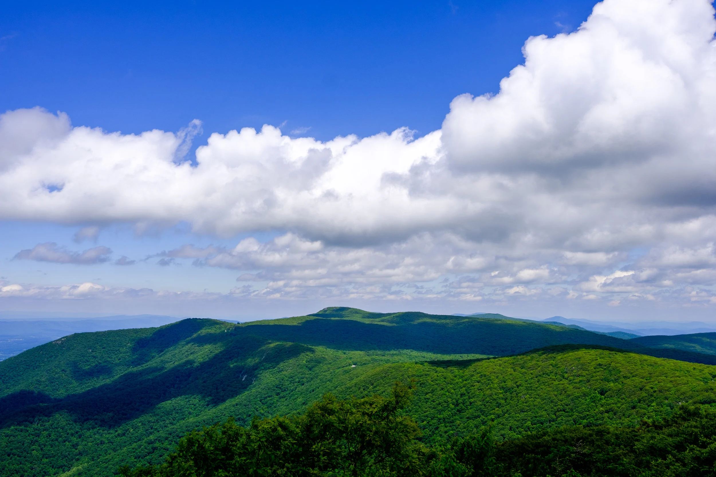 DSCF9725.jpg