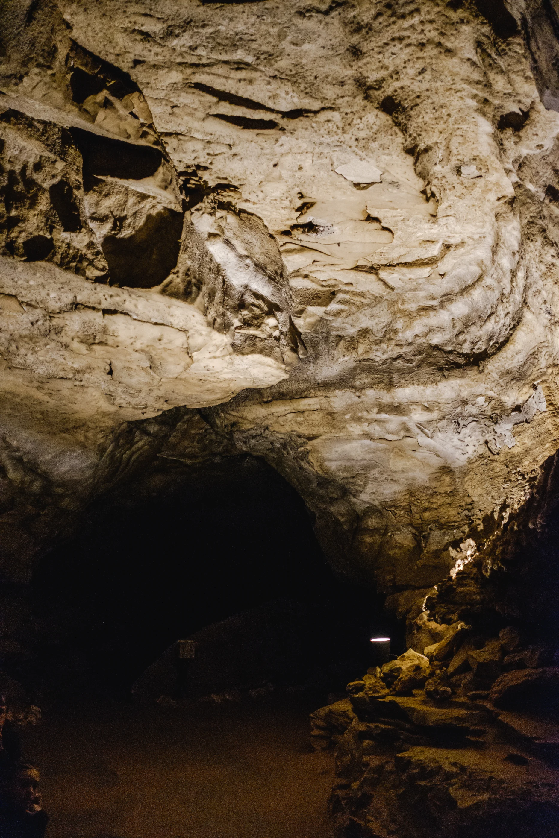 DSCF0177.jpg