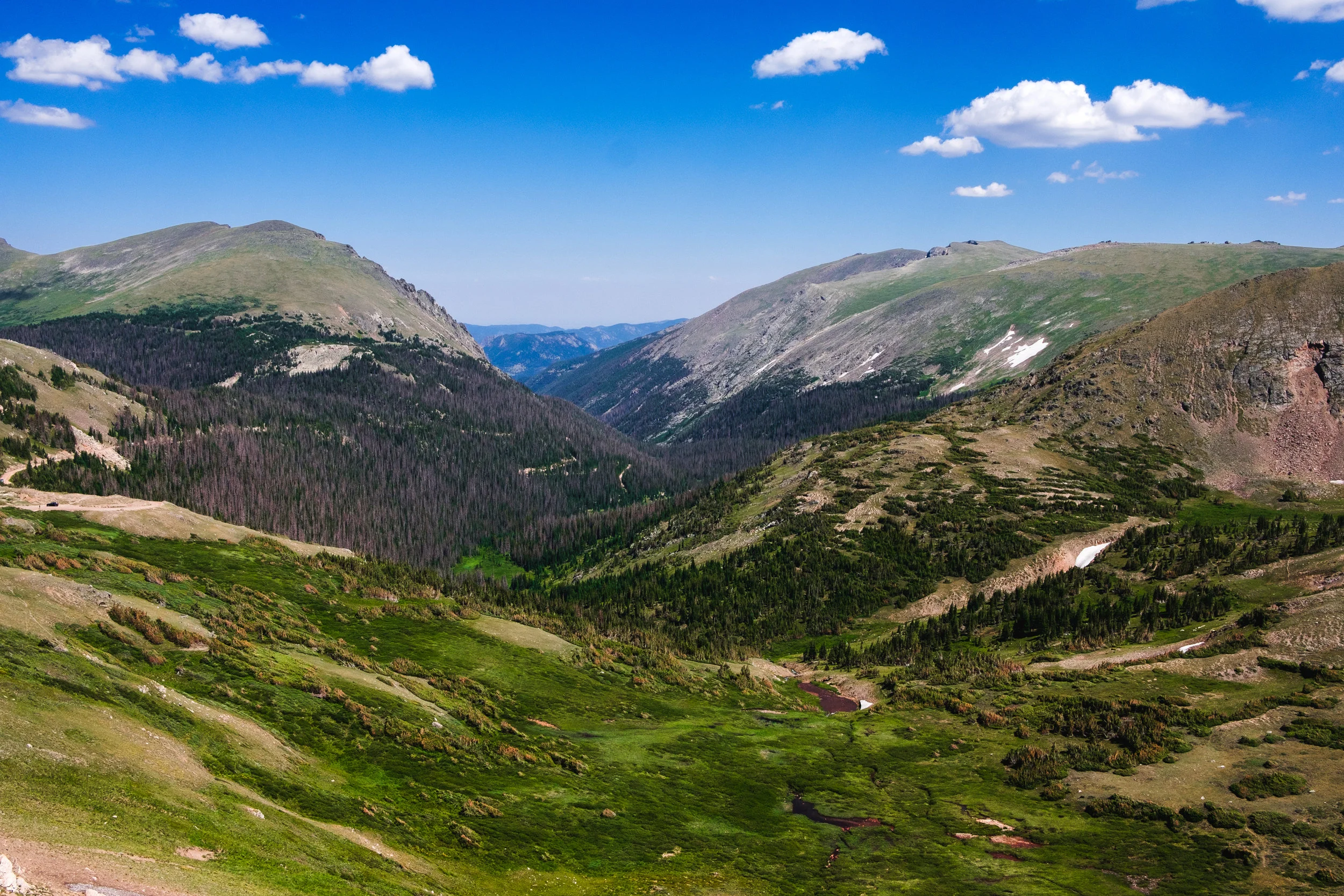 DSCF1682.jpg
