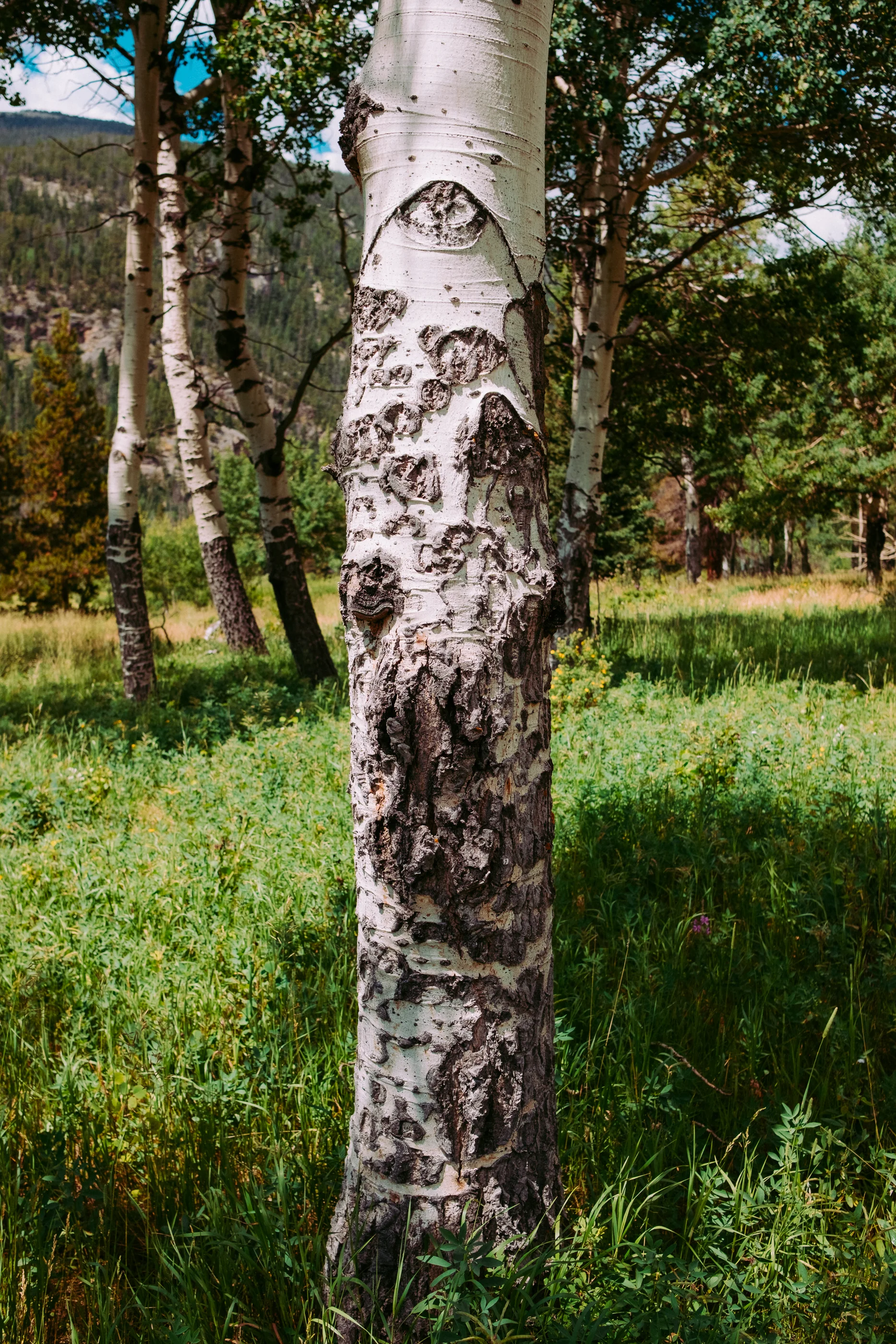DSCF1882.jpg