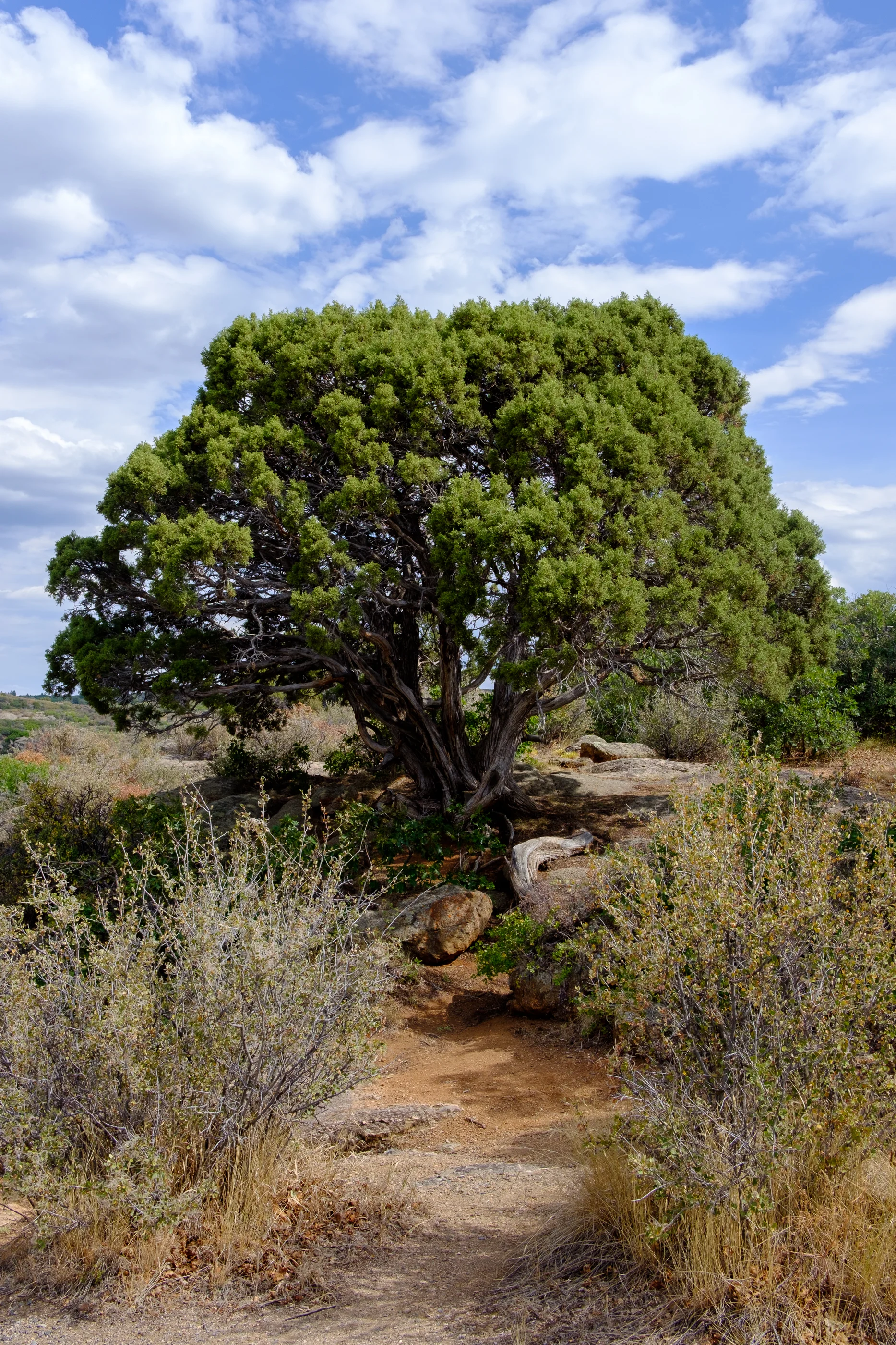 DSCF2855.jpg