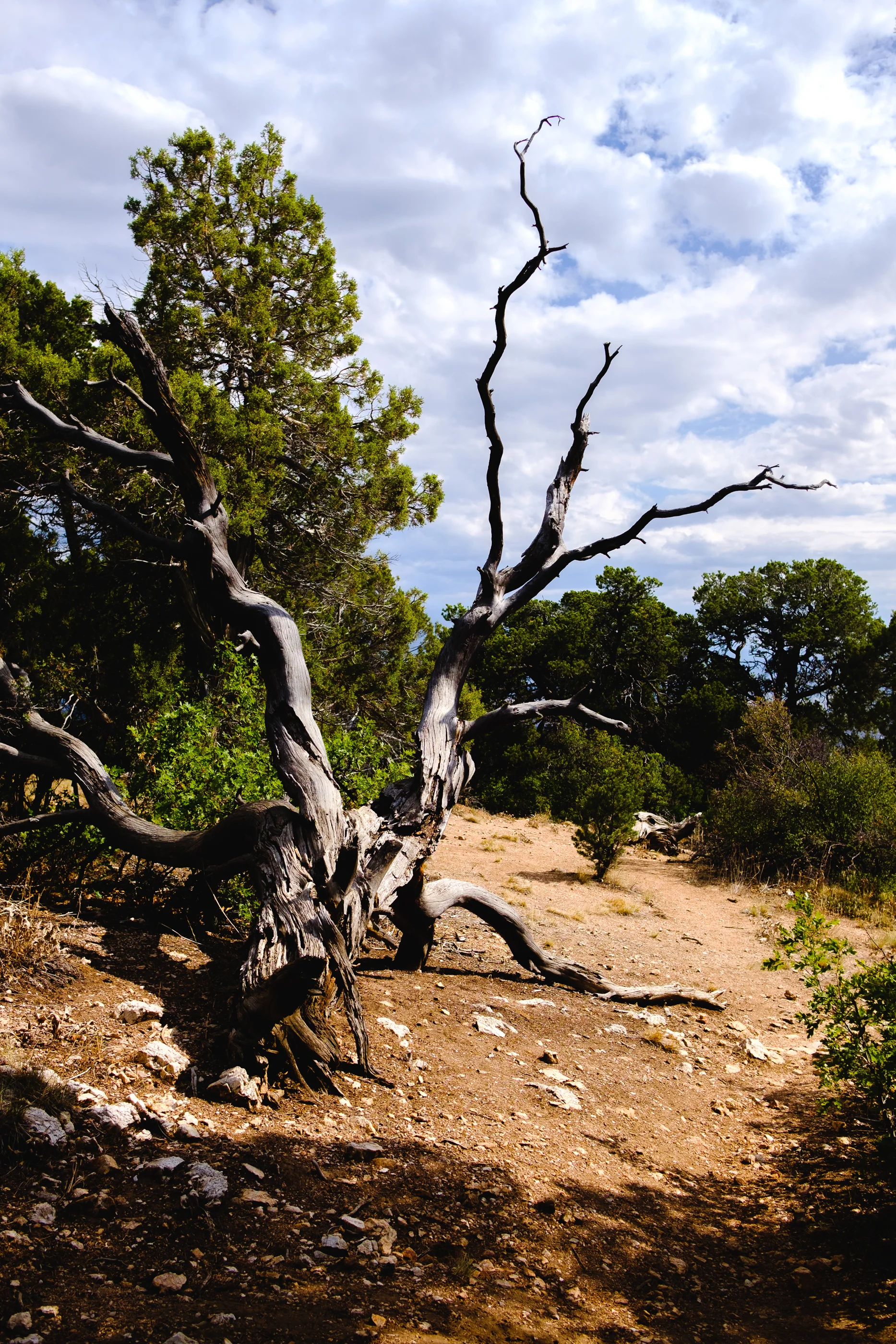 DSCF2856.jpg