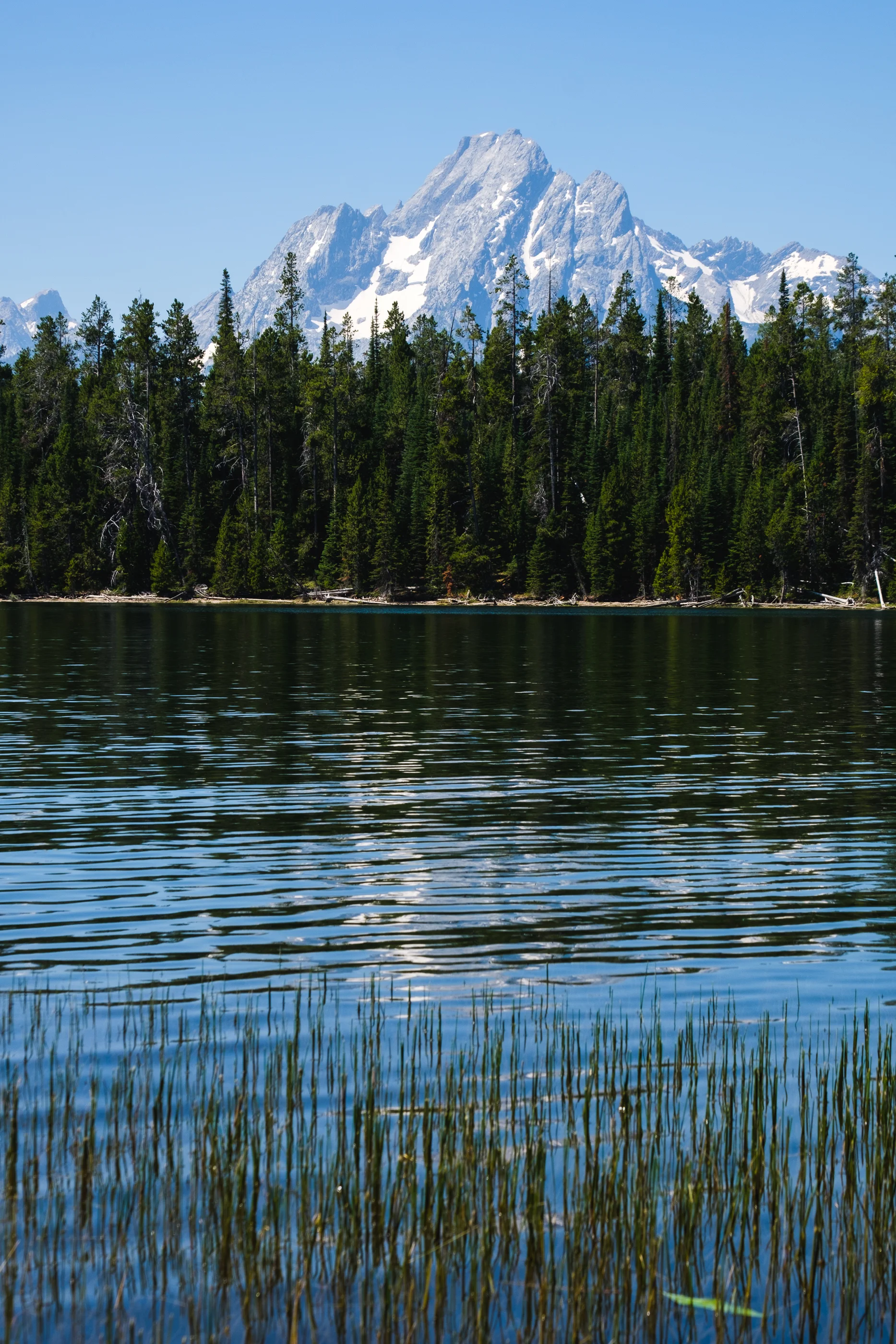 DSCF3728.jpg