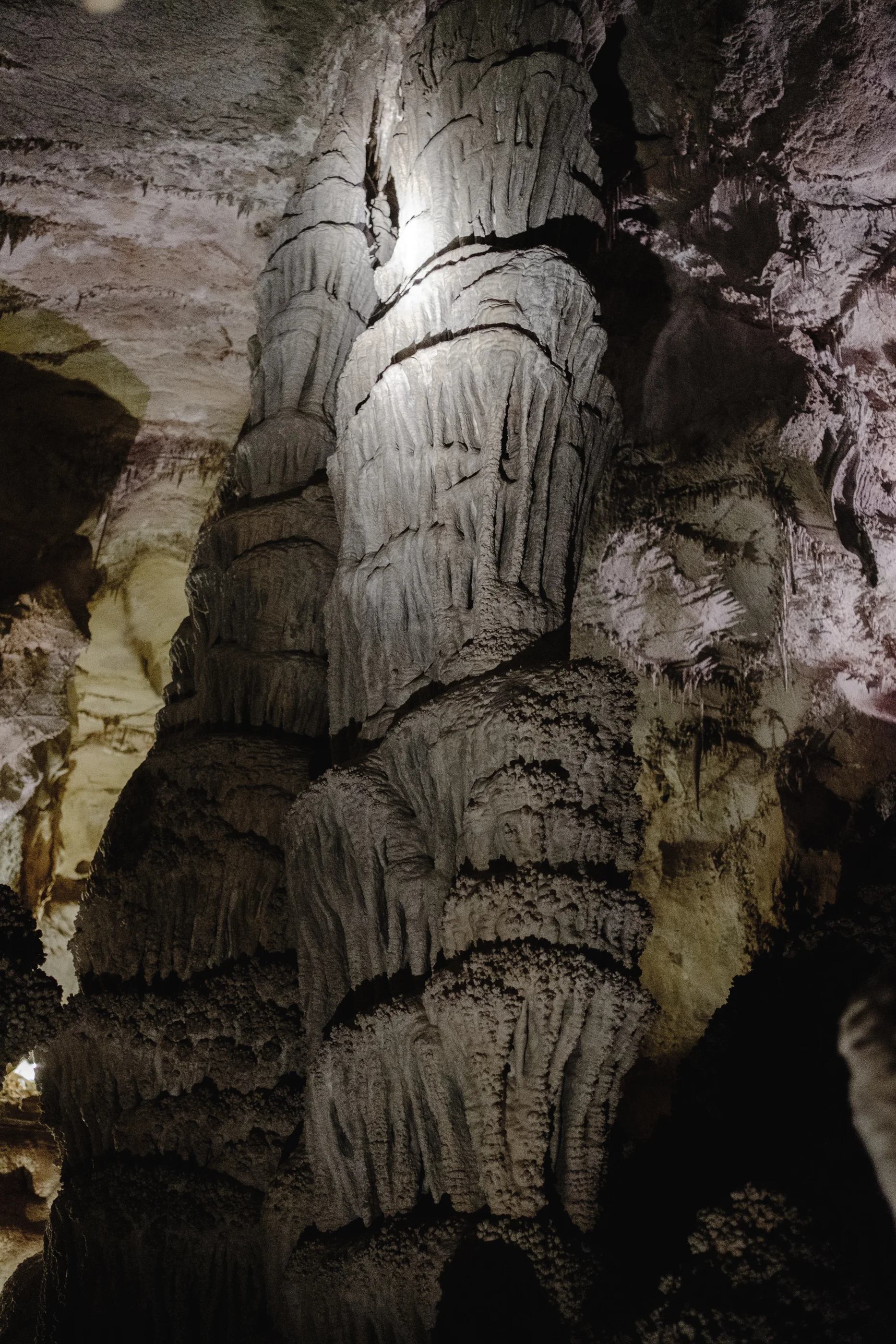 DSCF7082.jpg