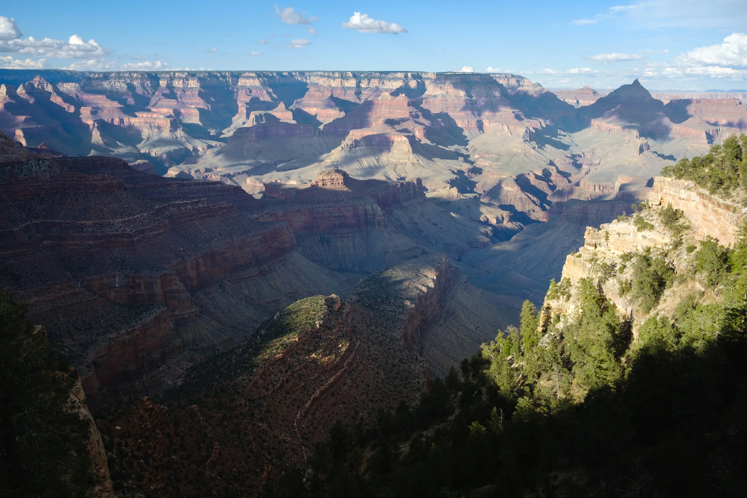 DSCF8342.jpg