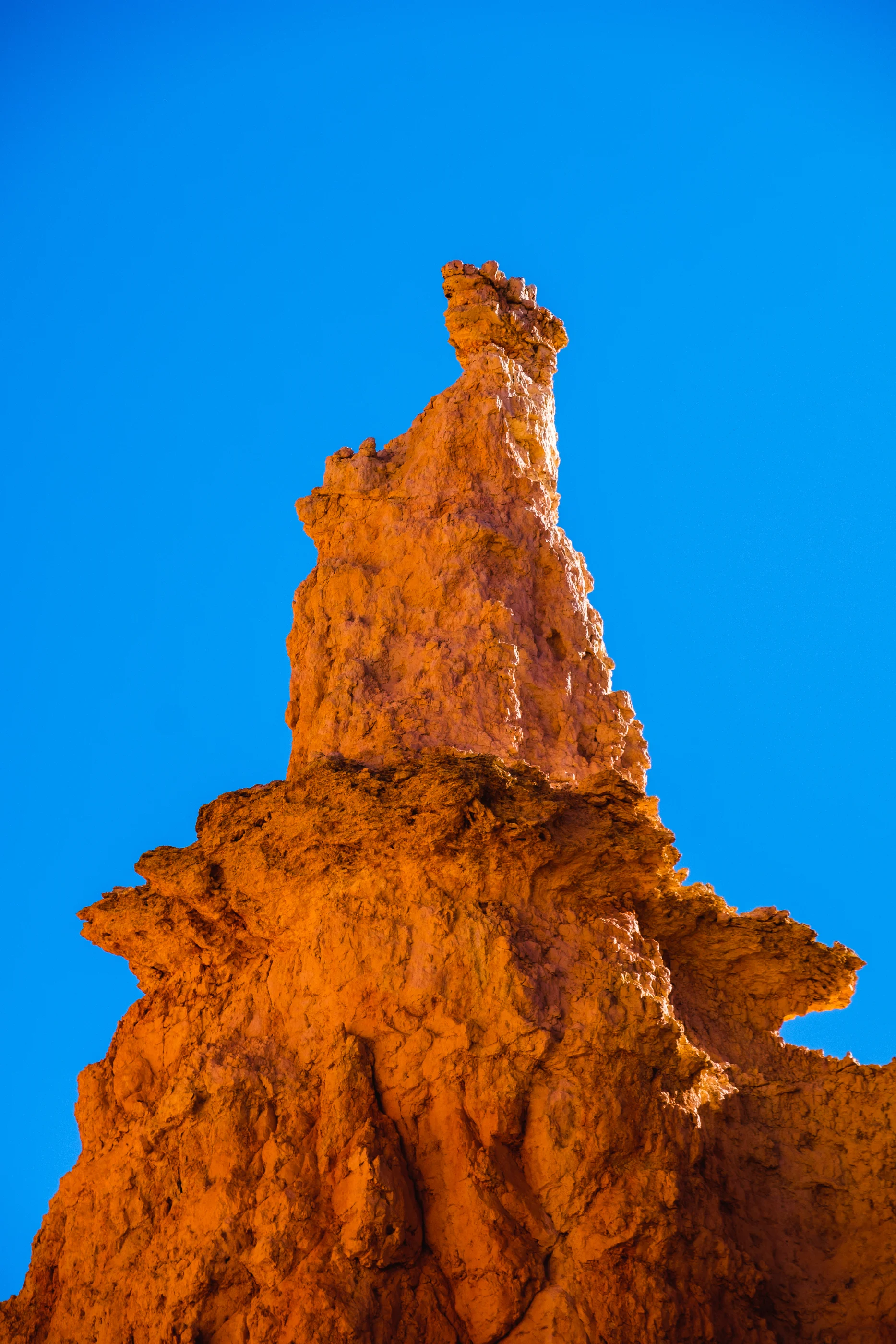 DSCF7666.jpg