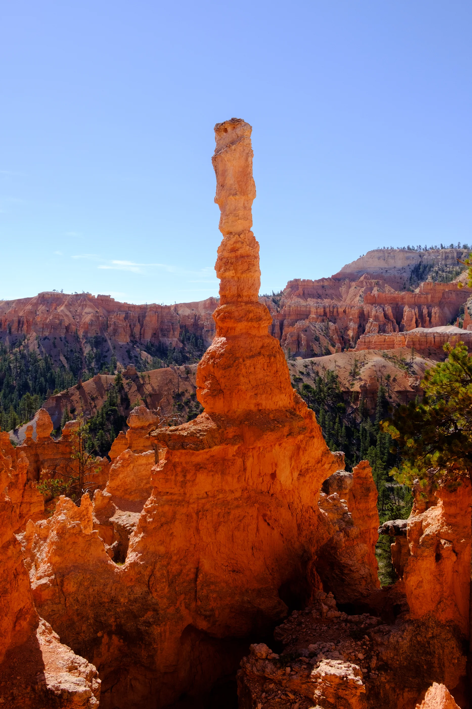 DSCF7671.jpg
