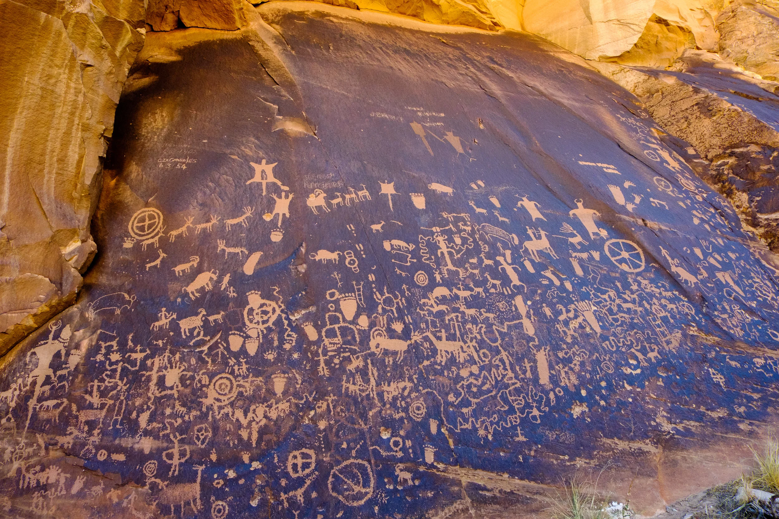 DSCF8157.jpg