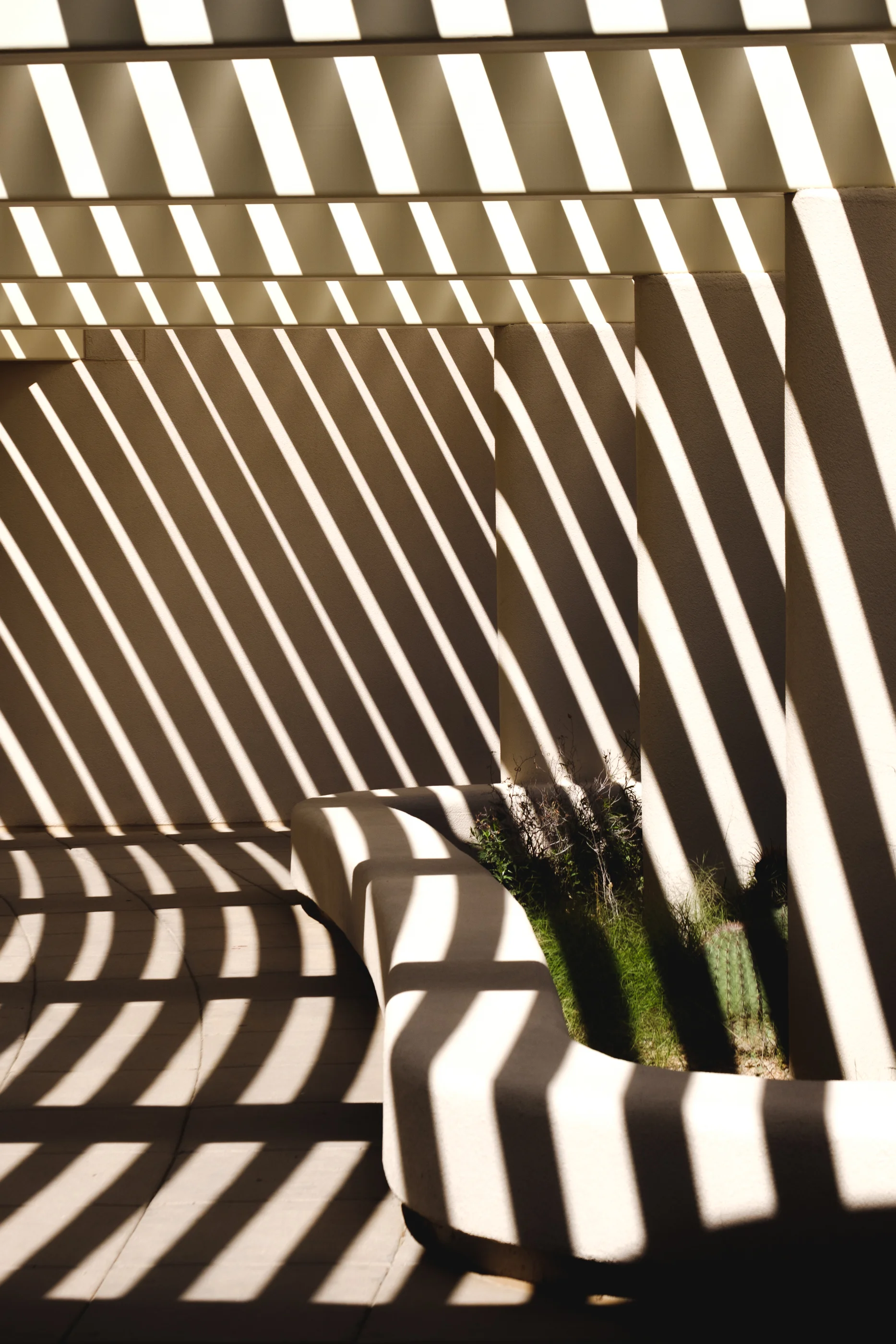 DSCF8381.jpg
