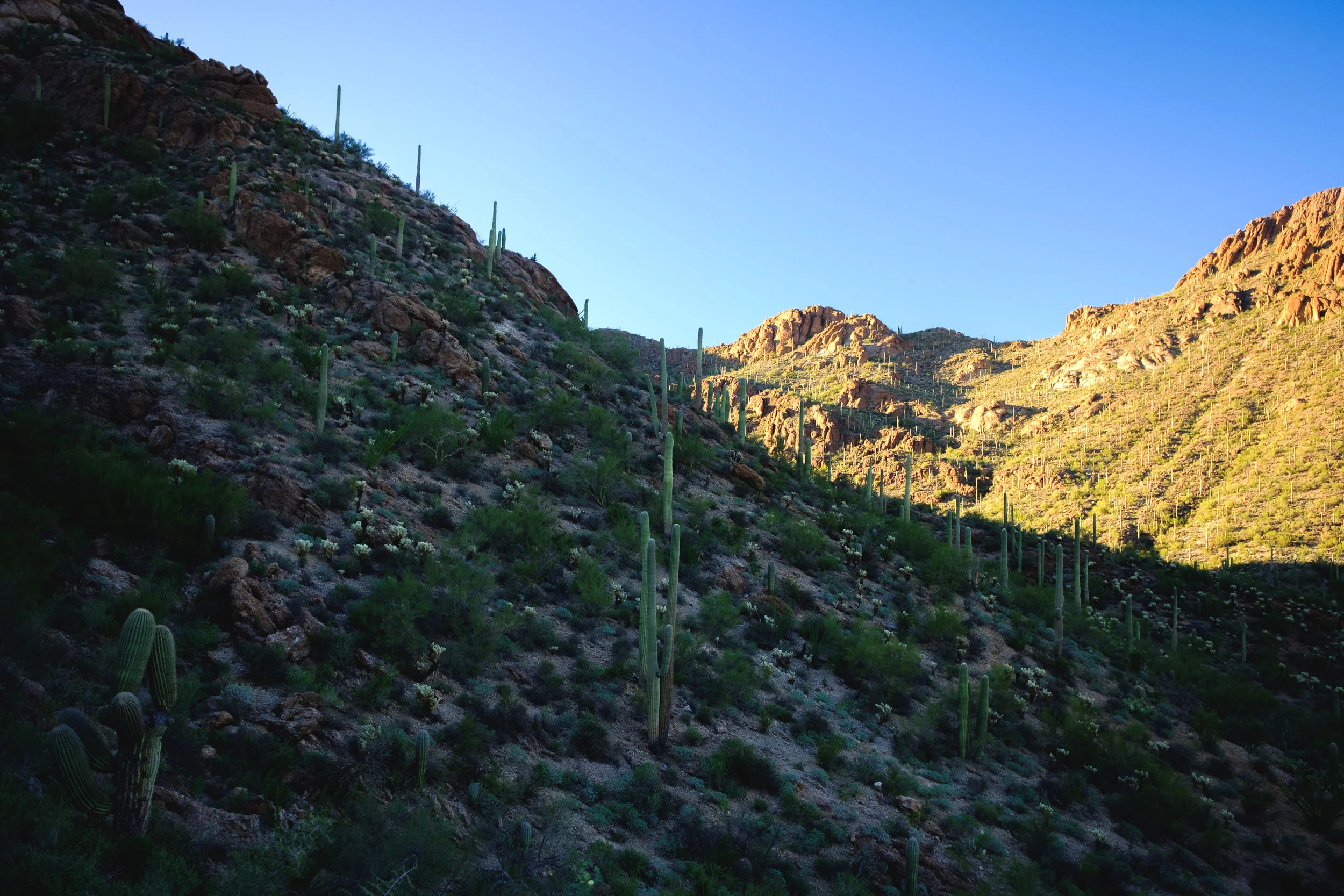 DSCF8507.jpg