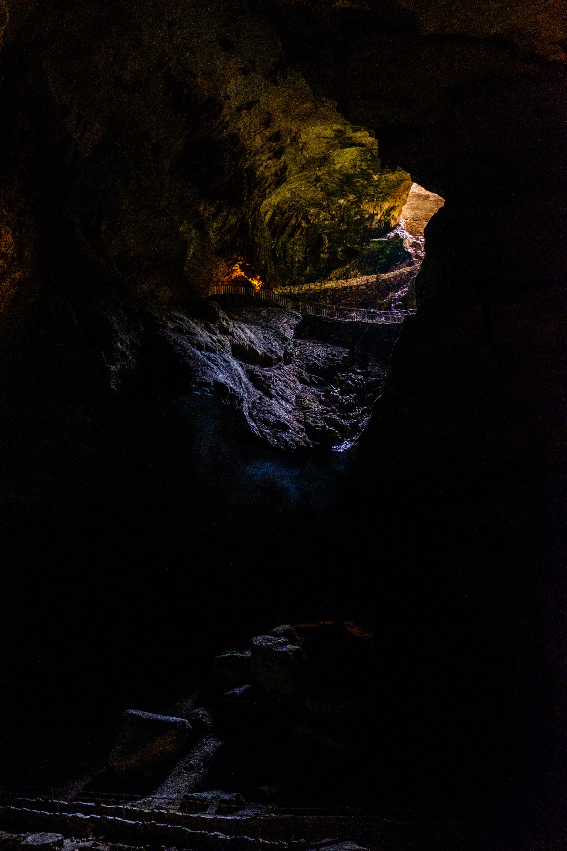 DSCF8721.jpg