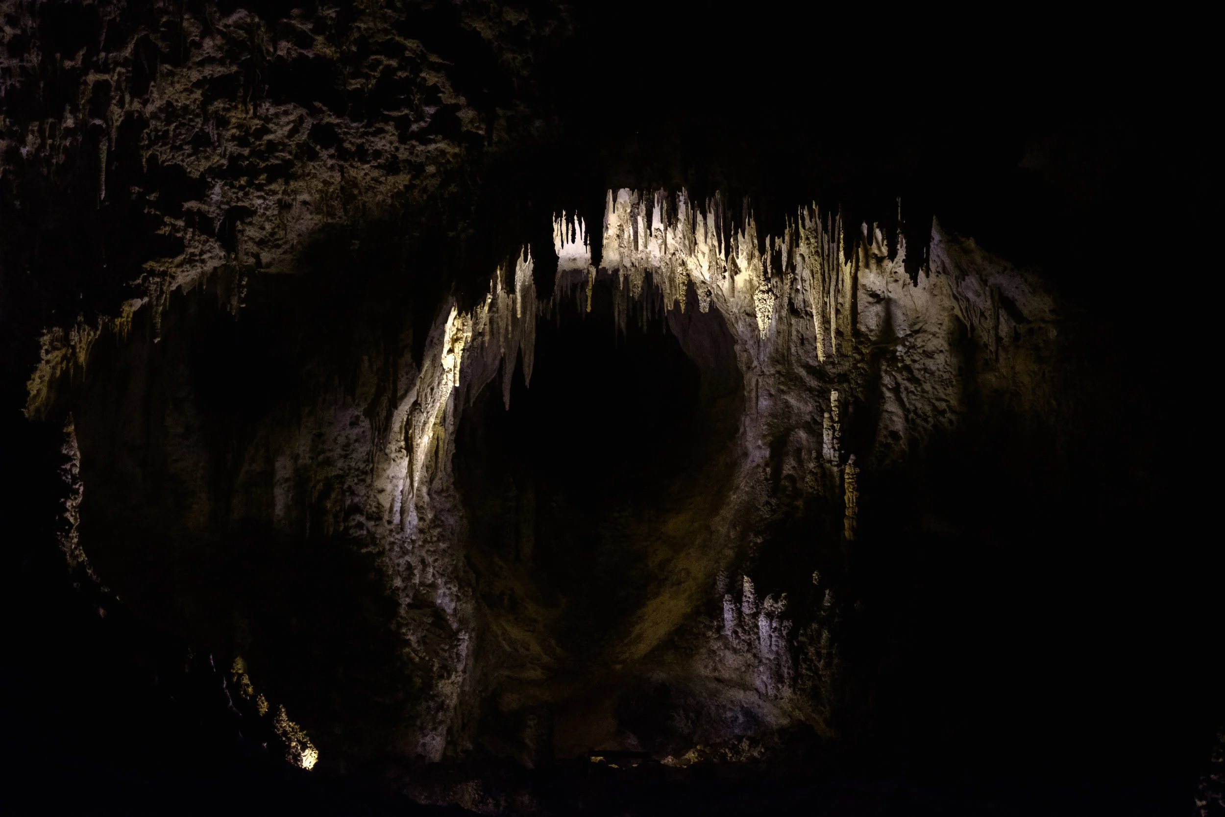 DSCF8760.jpg