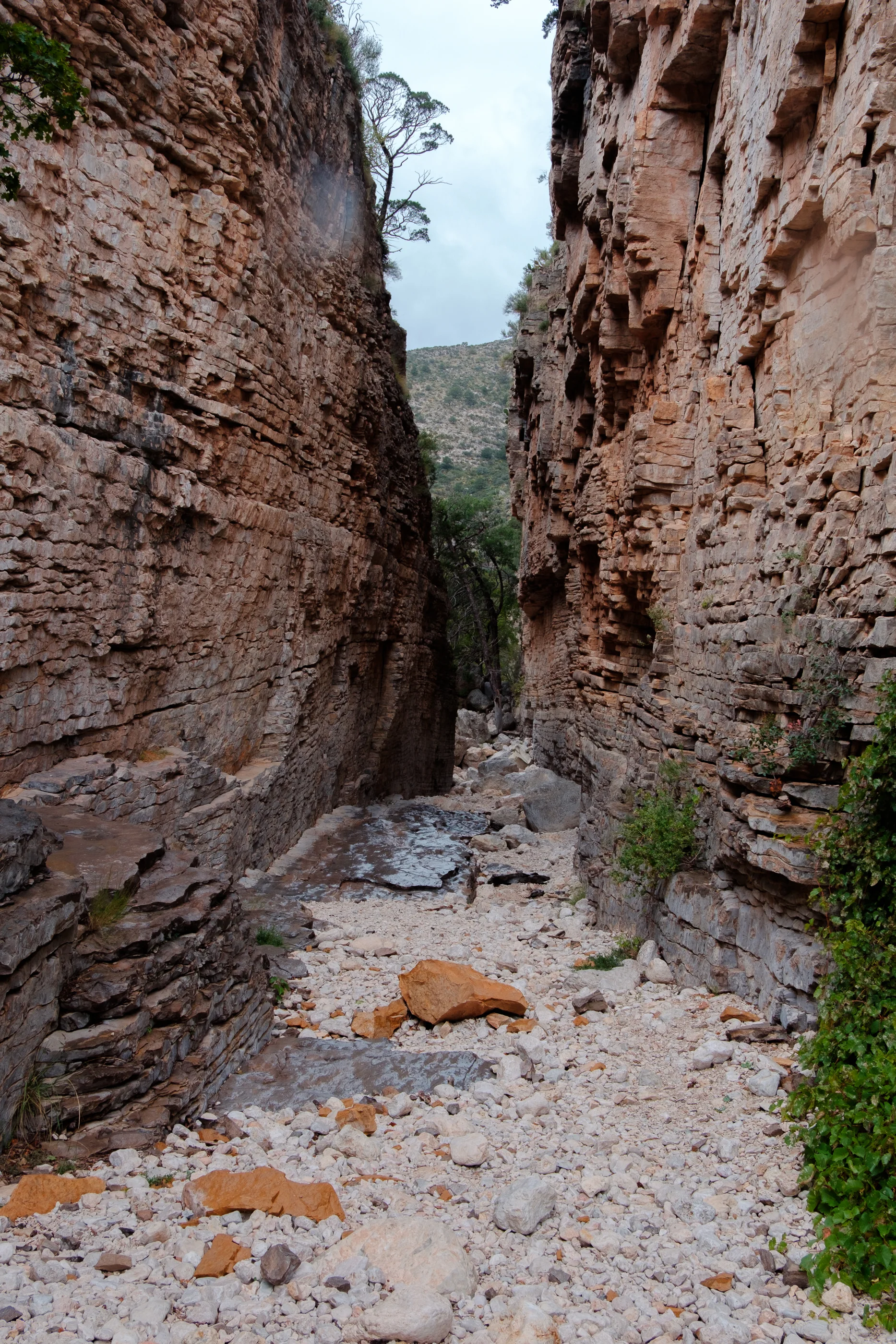 DSCF8795.jpg