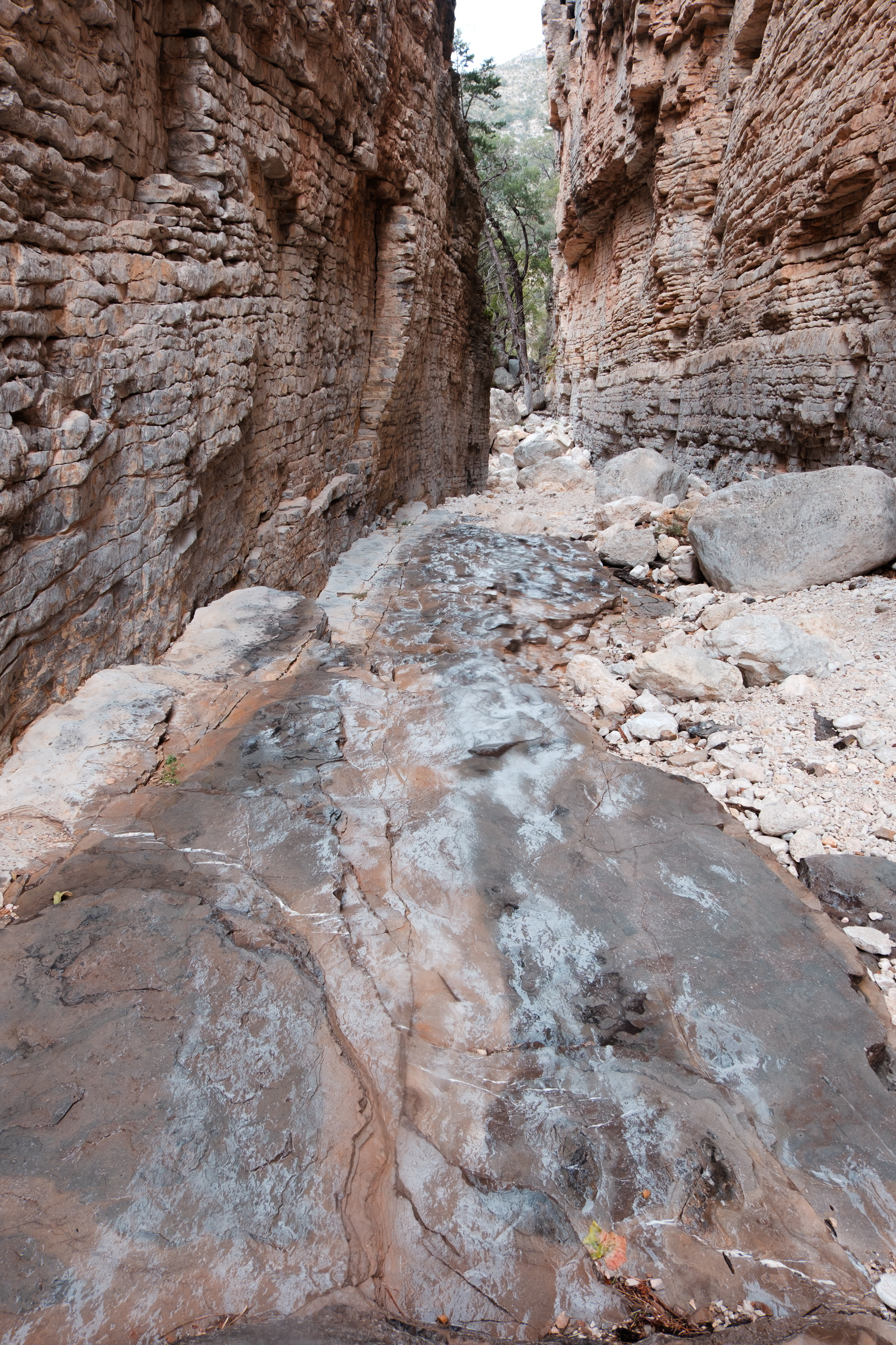 DSCF8796.jpg