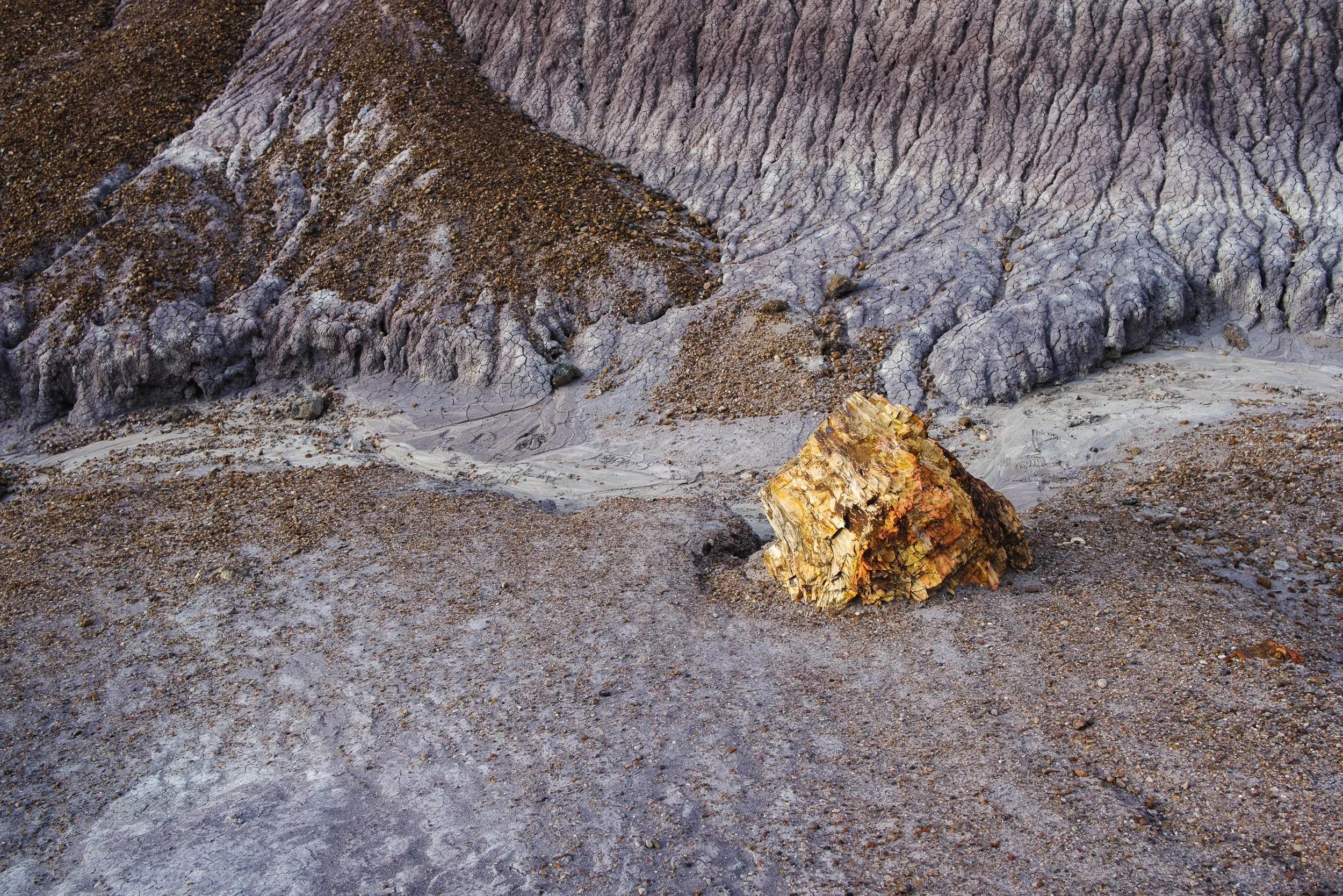 DSCF8525.jpg