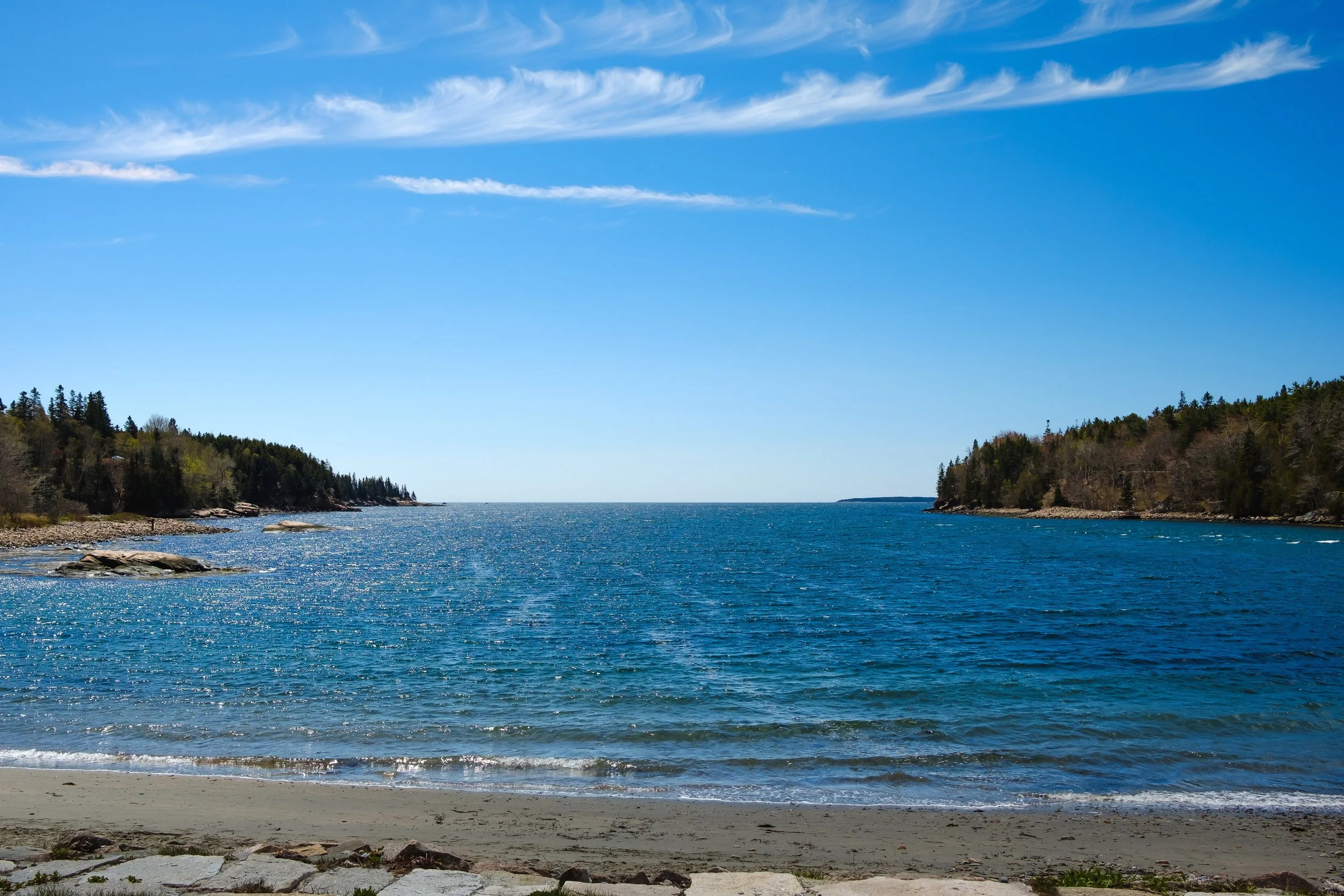 DSCF2444.jpg
