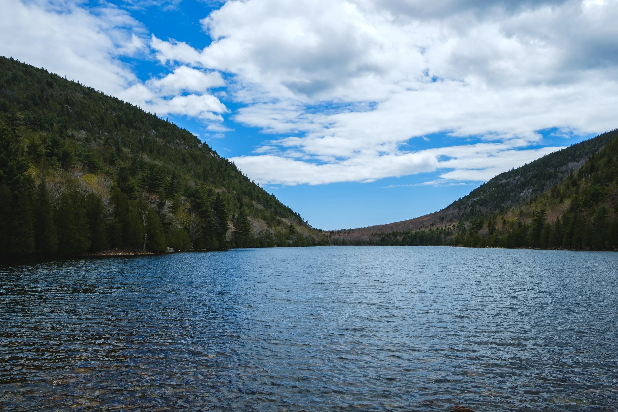 DSCF2448.jpg