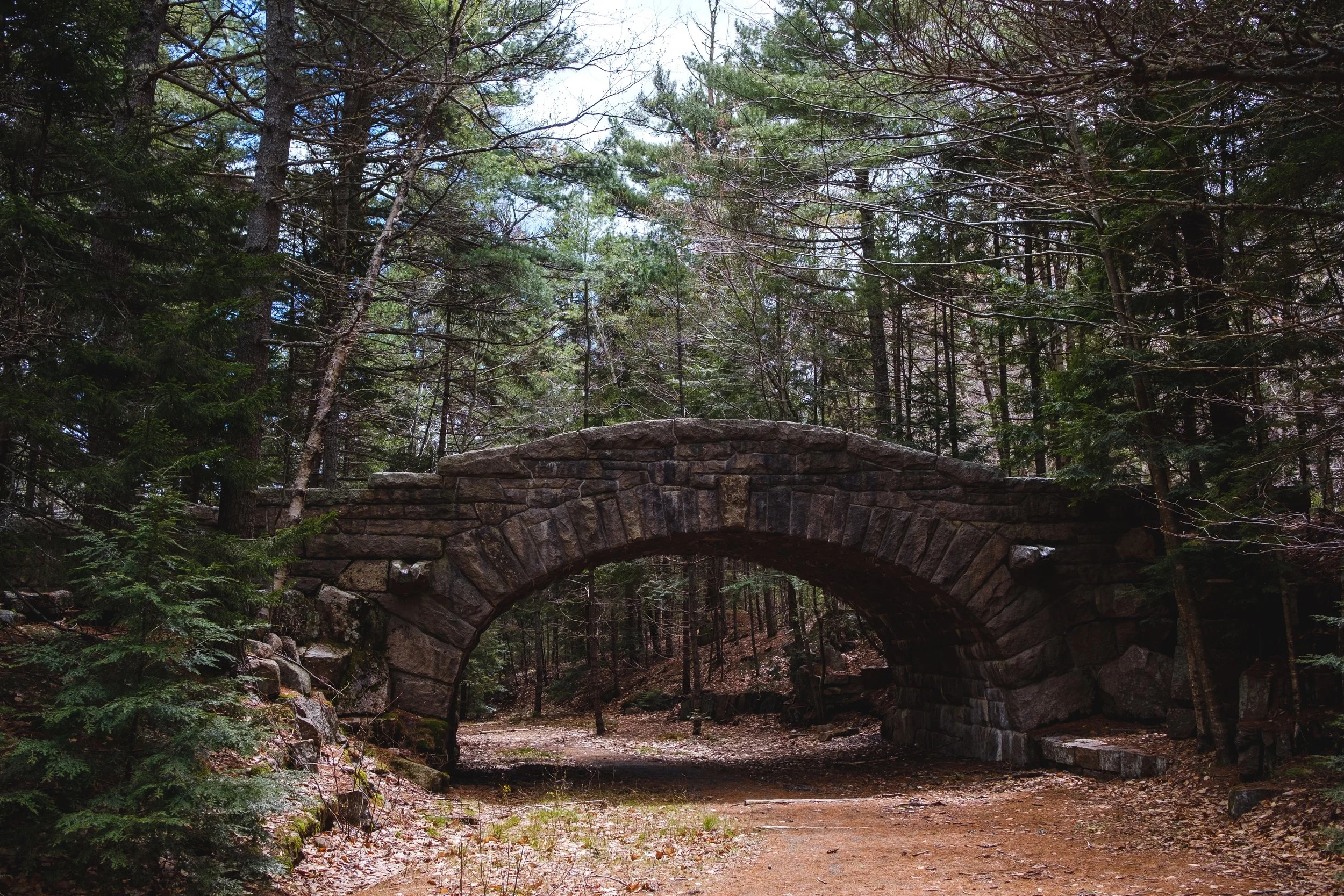 DSCF2445.jpg