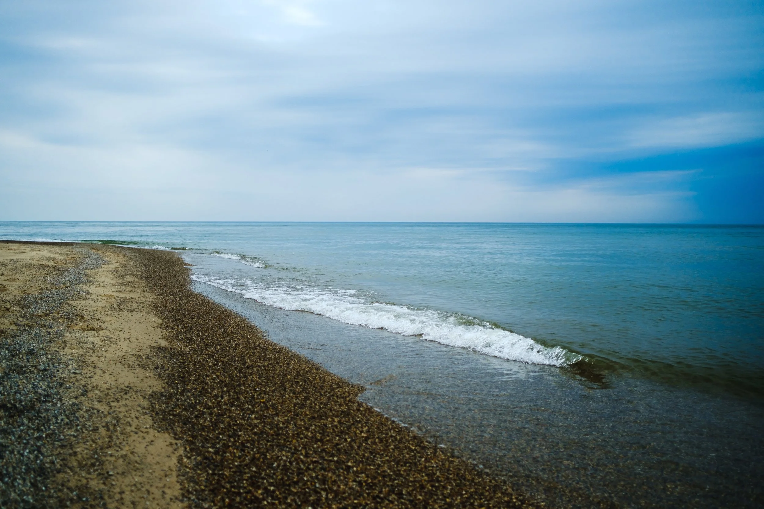 DSCF2686.jpg