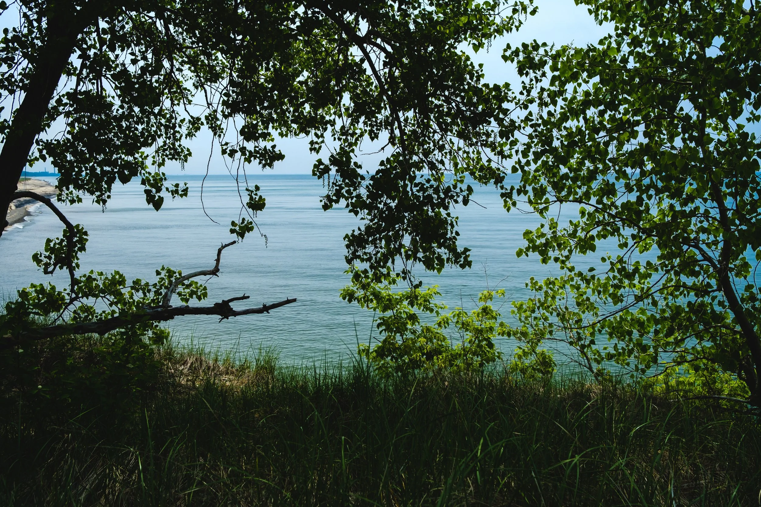 DSCF2719.jpg