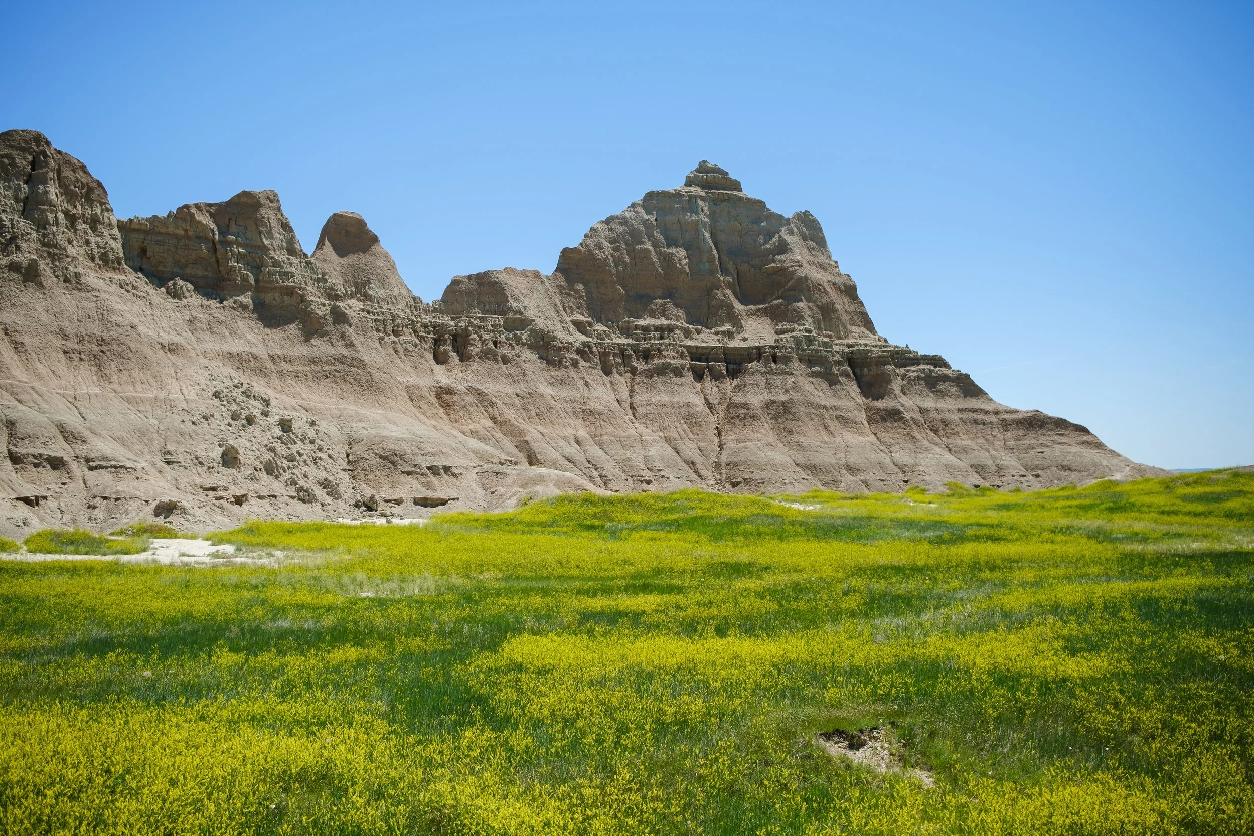 DSCF3870.jpg