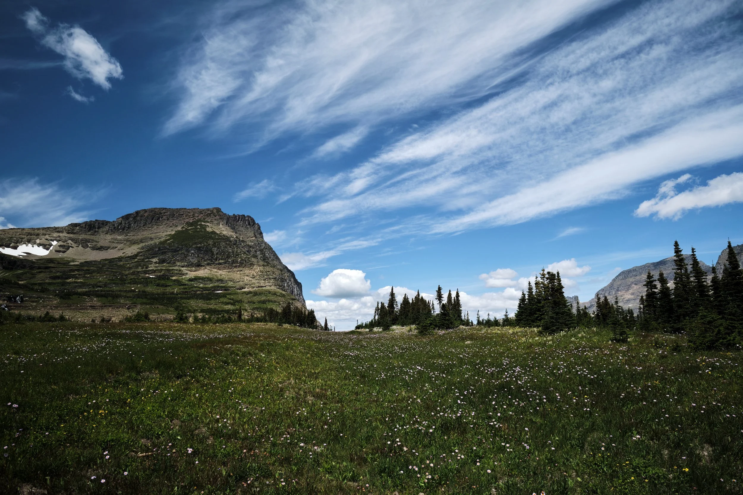 DSCF4211.jpg