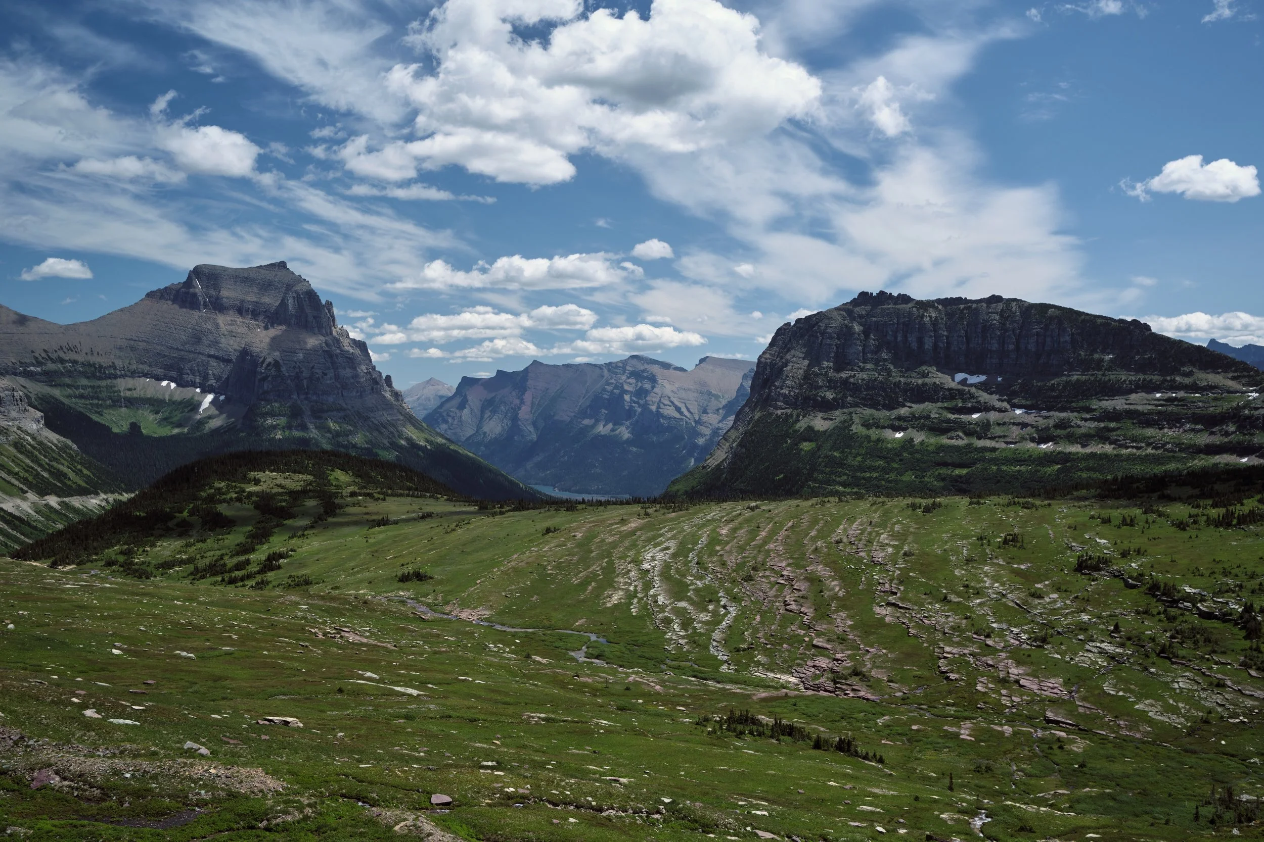 DSCF4230.jpg