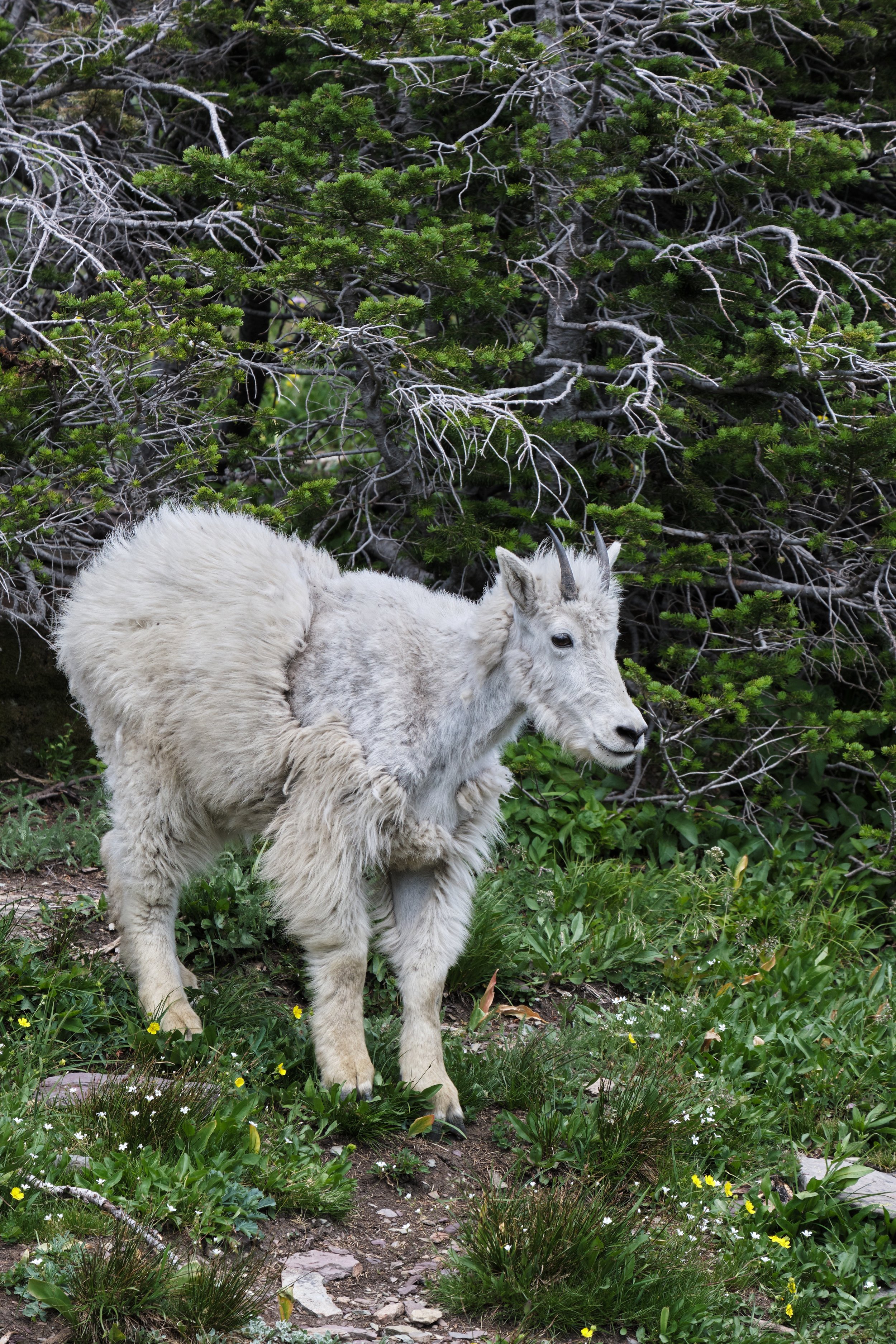 DSCF4286.jpg