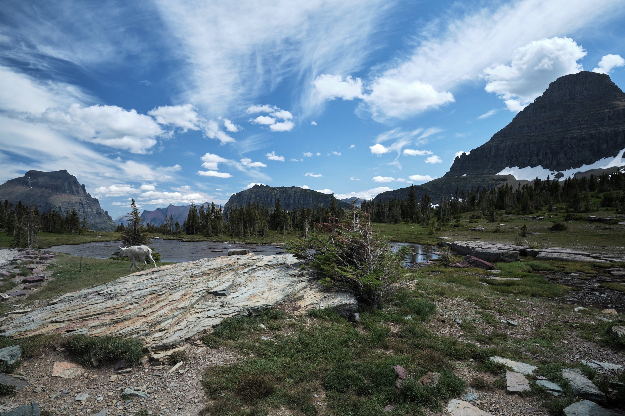 DSCF4293.jpg