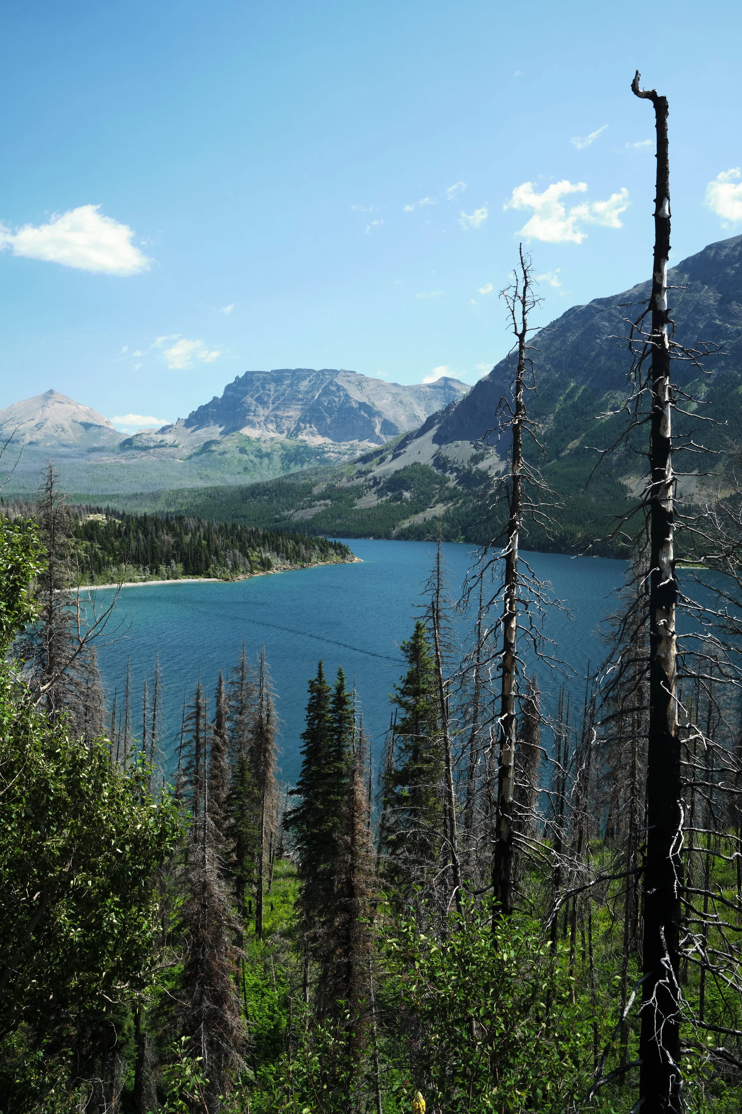 DSCF4414.jpg