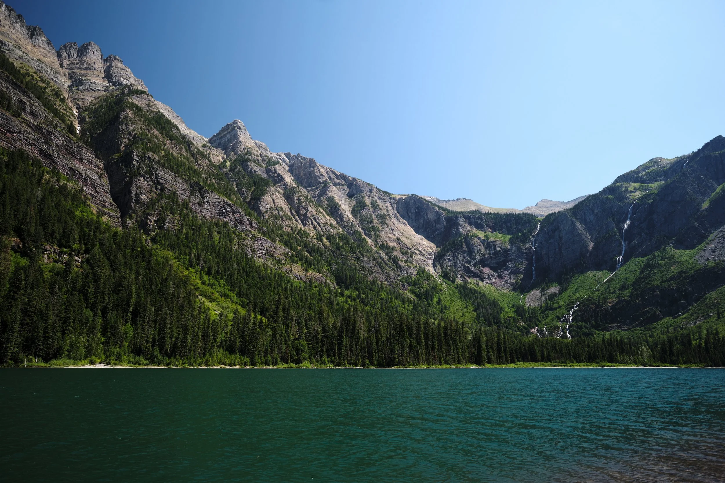 DSCF4446.jpg