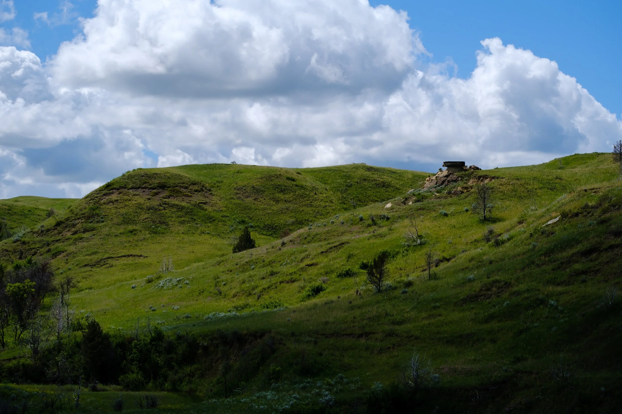DSCF3394.jpg