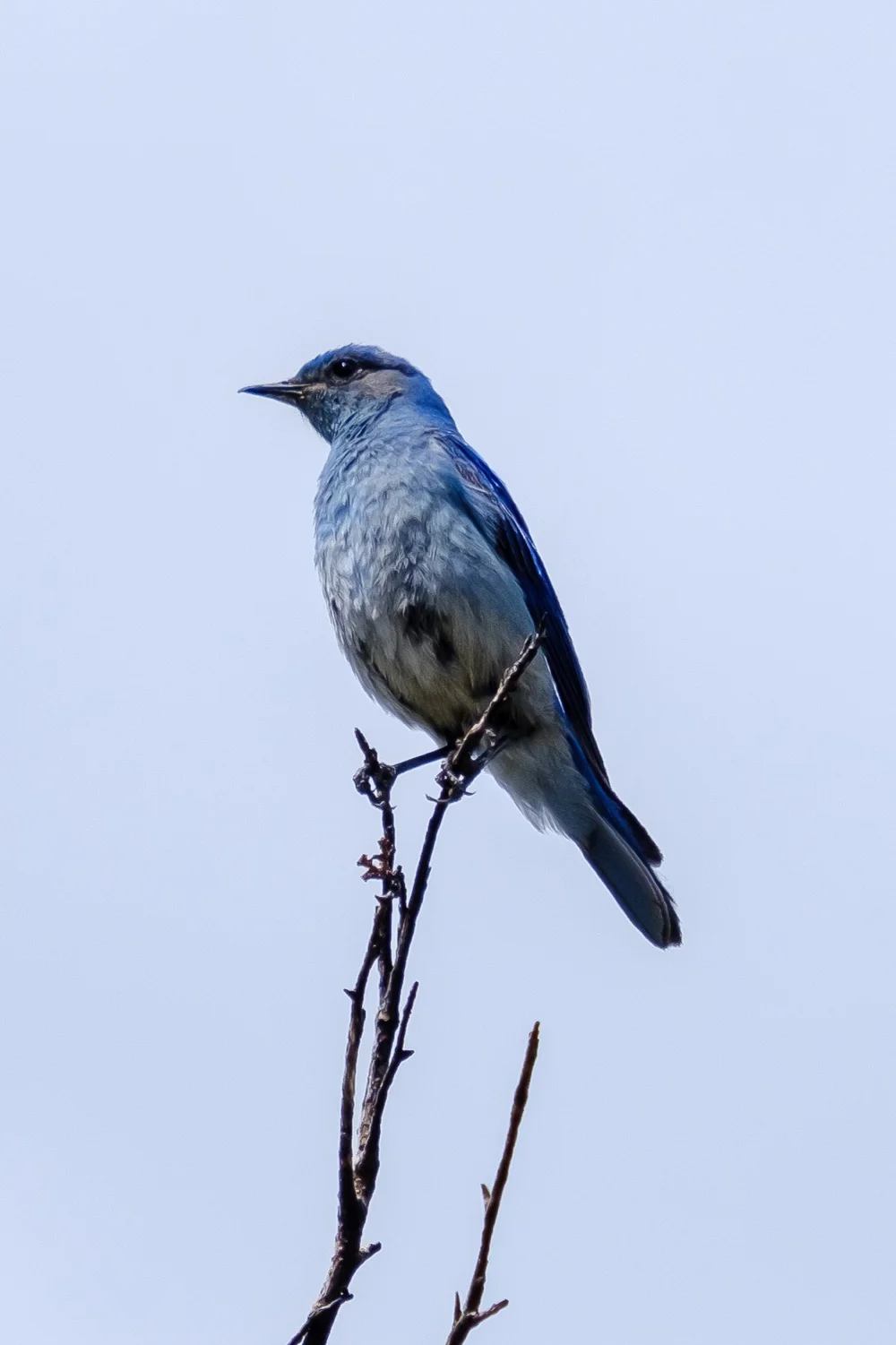 DSCF3501.jpg