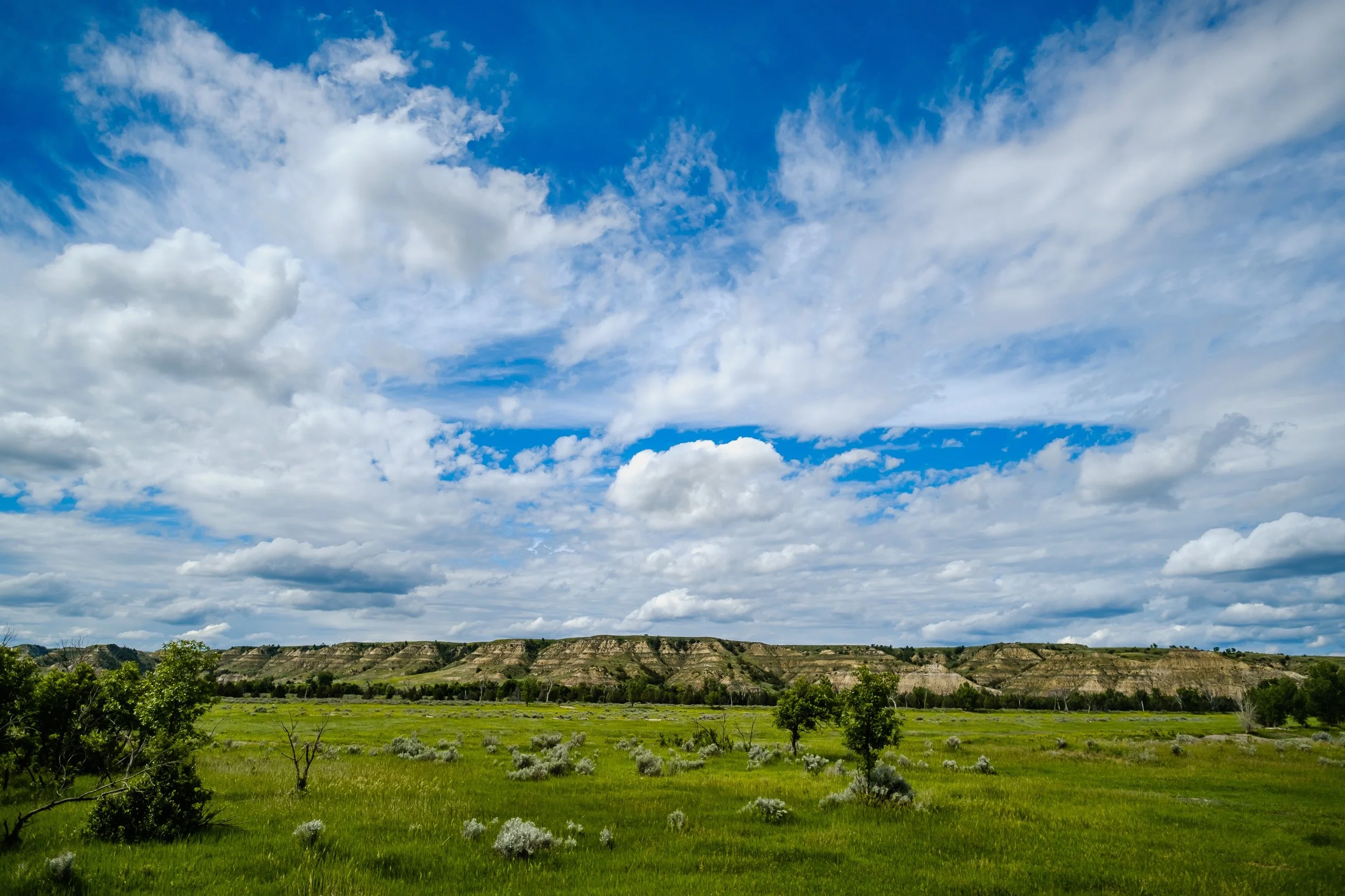 DSCF3551.jpg