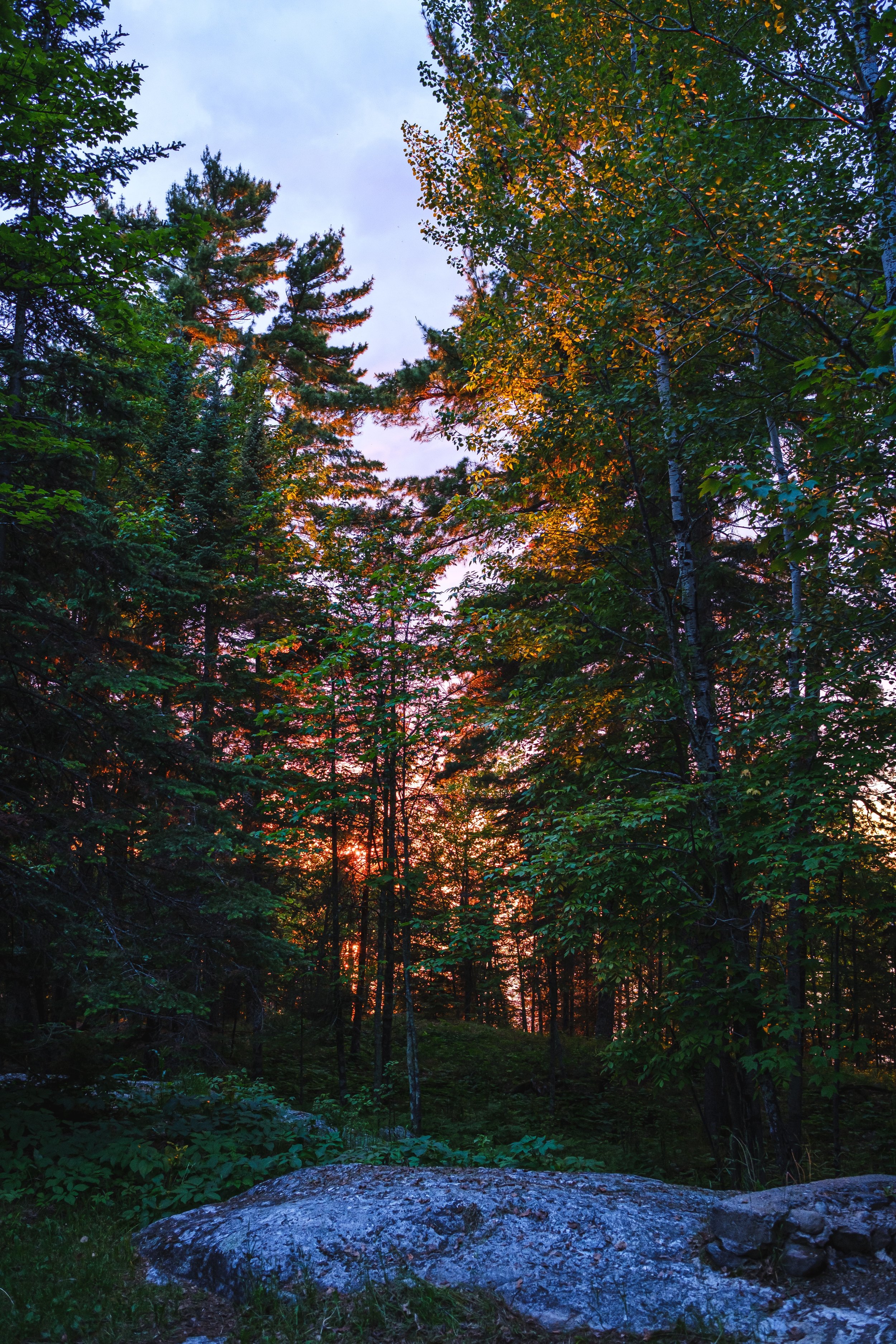 DSCF3294.jpg